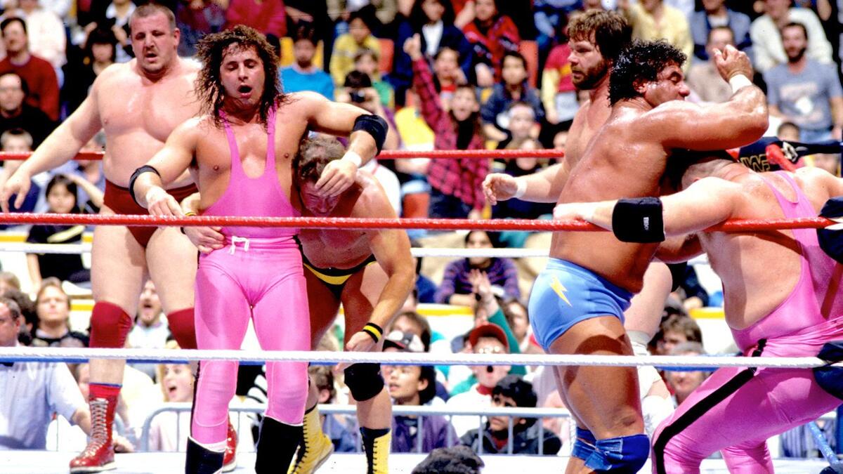 The 1988 WWE Royal Rumble Match