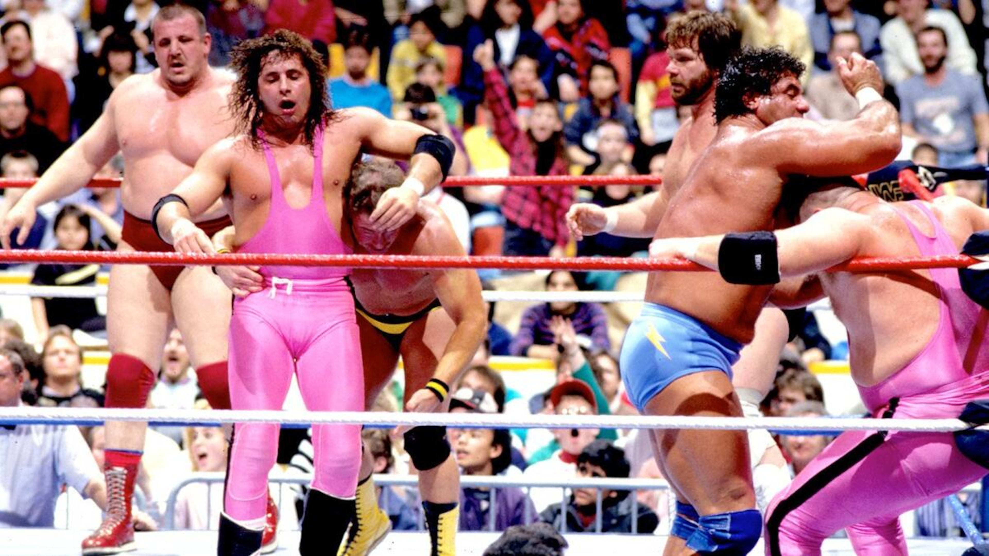 The 1988 WWE Royal Rumble Match The 1988 WWE Royal Rumble Match