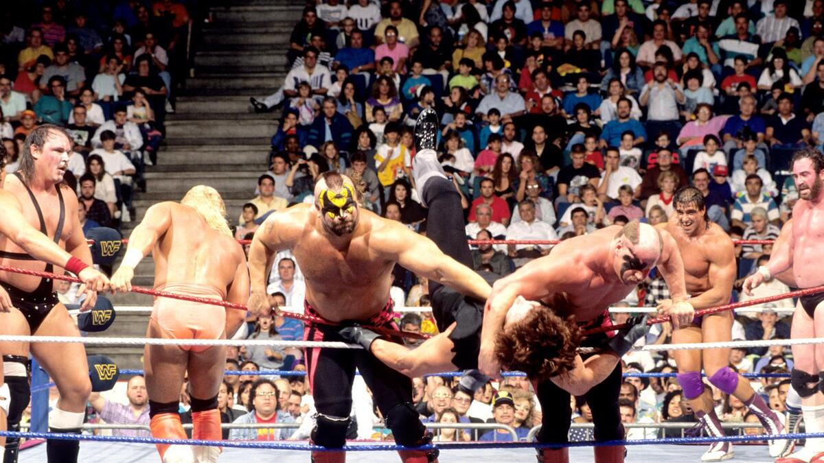 The 1991 WWE Royal Rumble Match