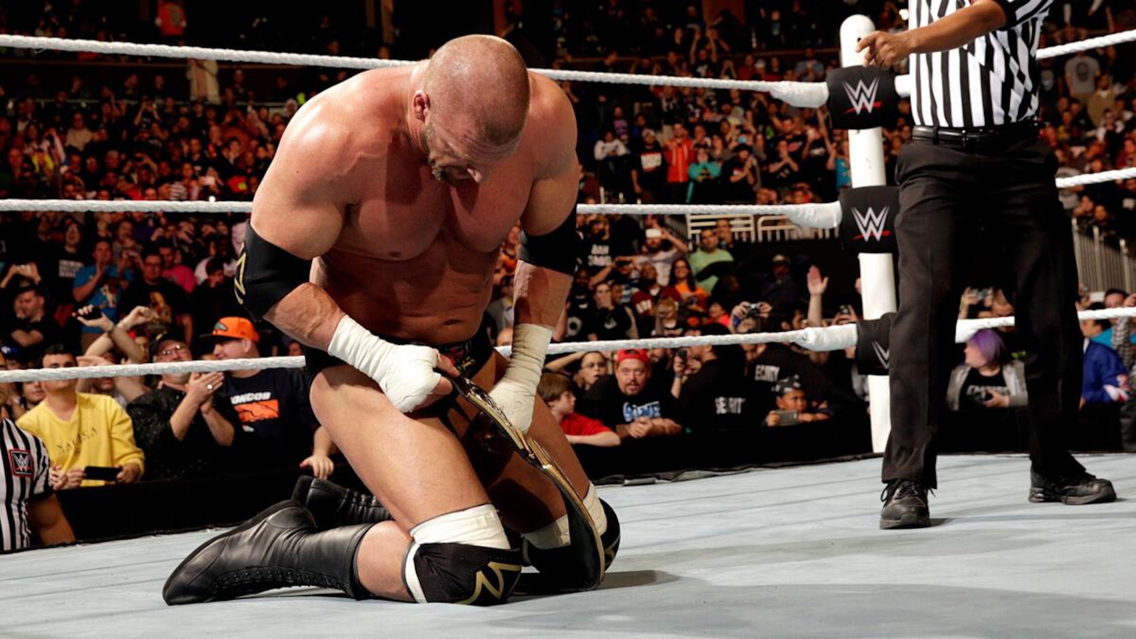 Triple H wins the 2016 WWE Royal Rumble Match Triple H wins the 2016 WWE Royal Rumble Match
