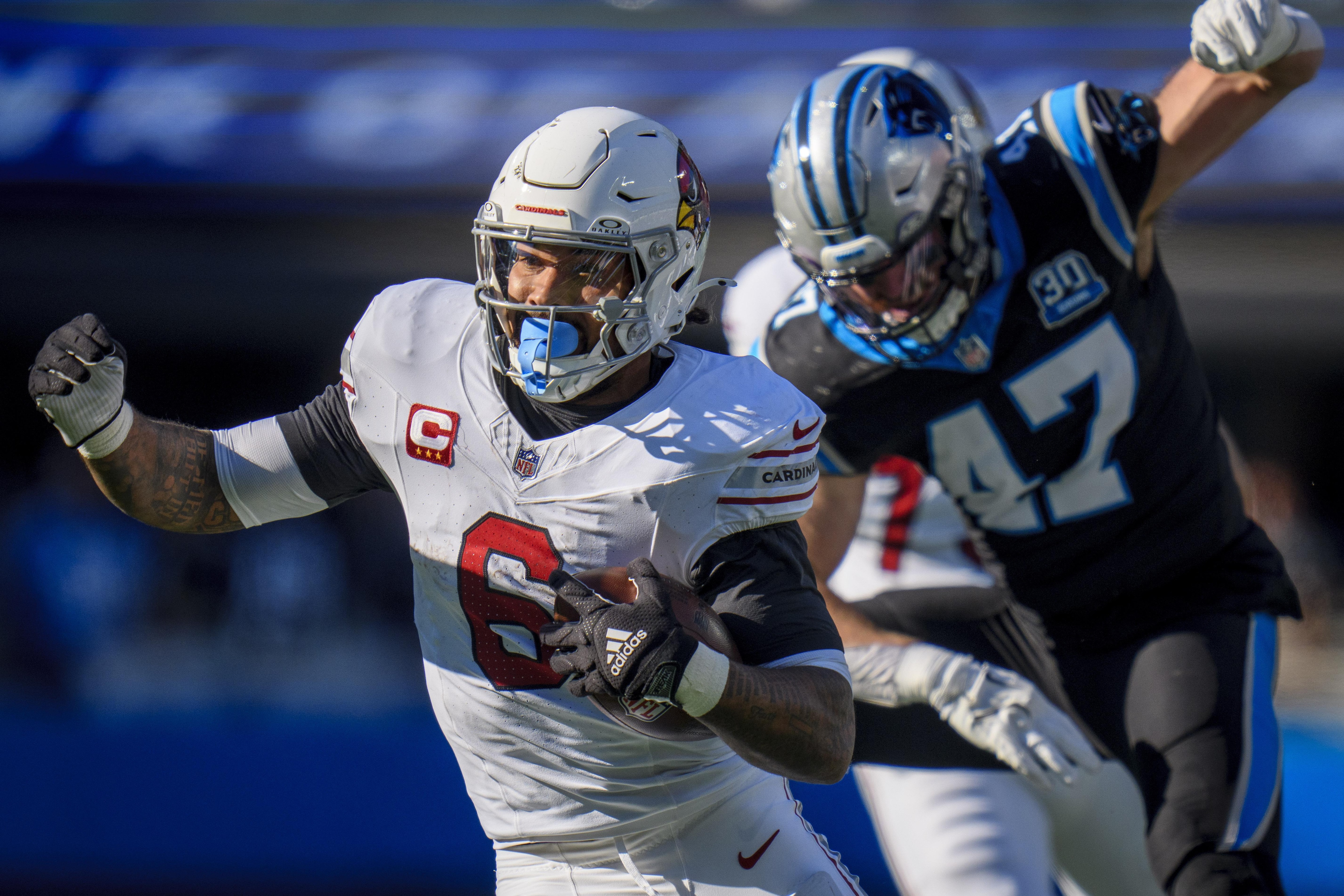 Cardinals Panthers Football