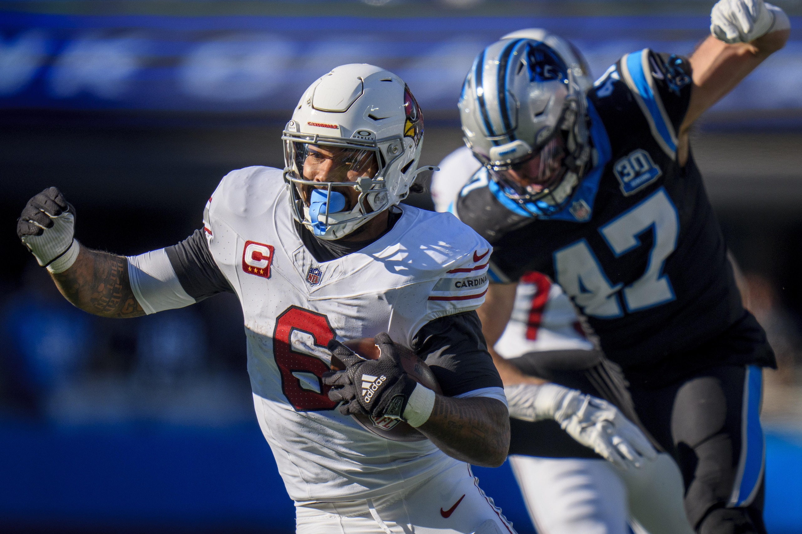 Cardinals Panthers Football