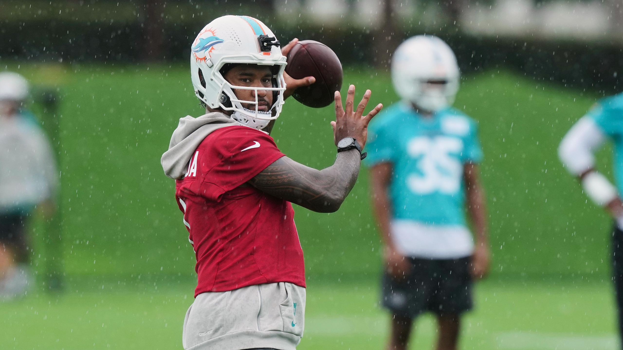 Dolphins Football