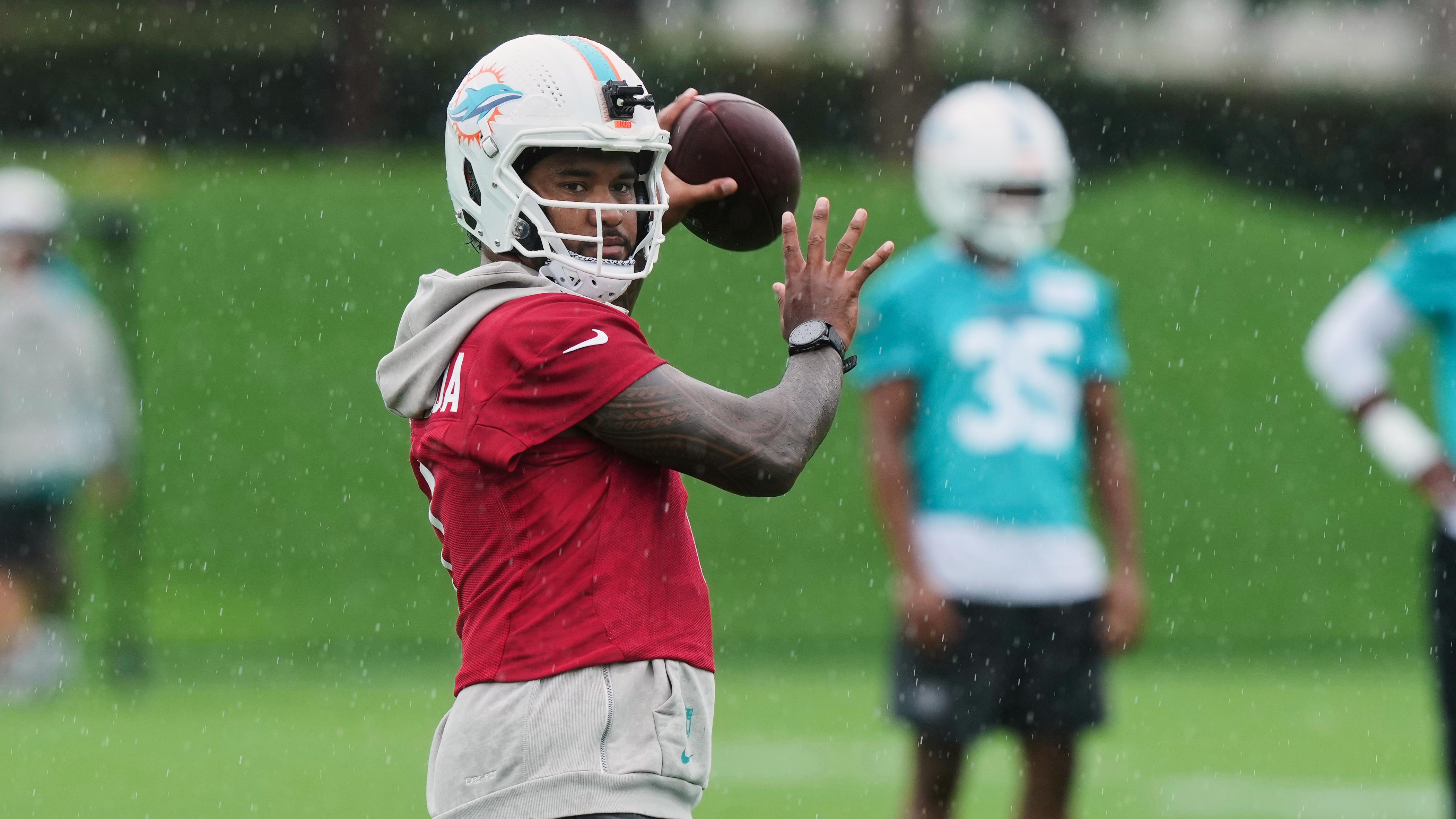 Miami Dolphins in game