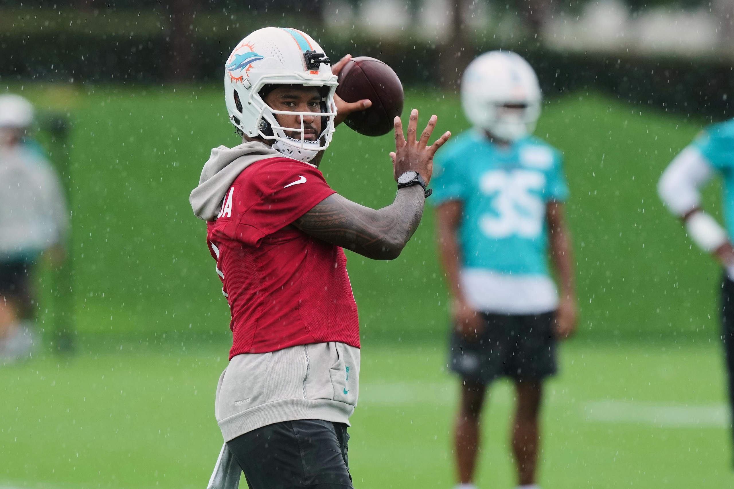 Dolphins Football