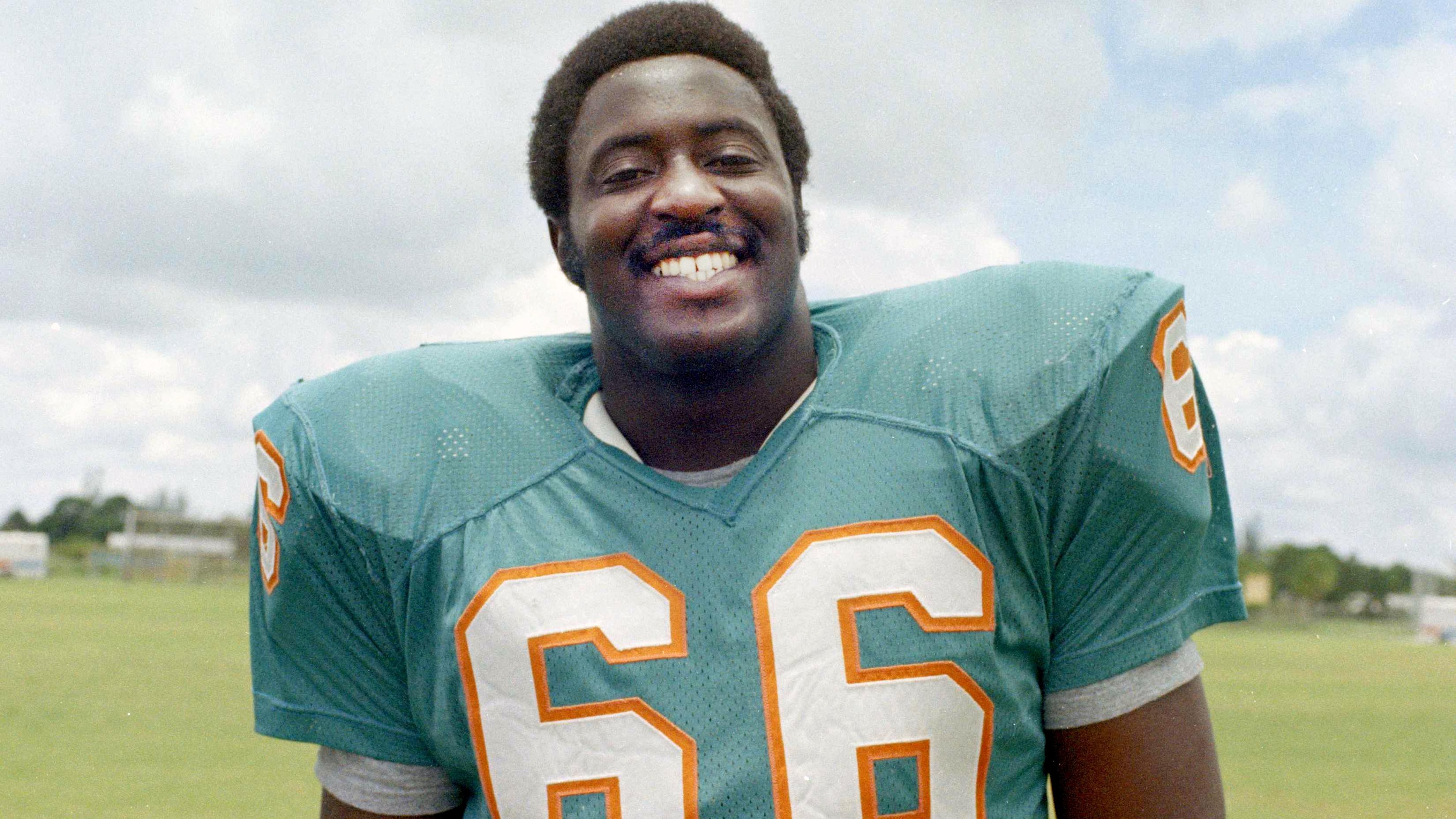NFL Dolphins Little