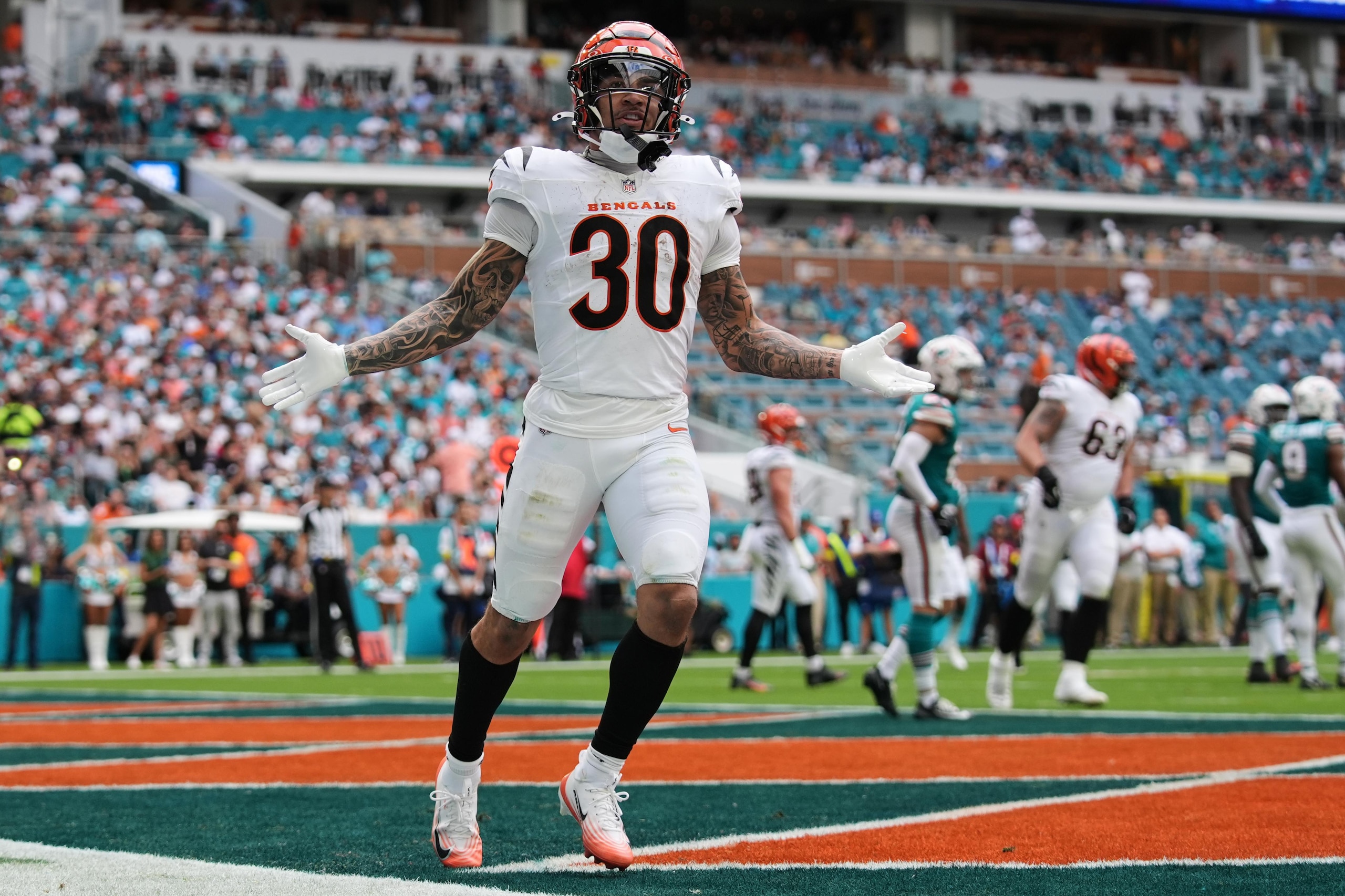 Bengals Dolphins Football