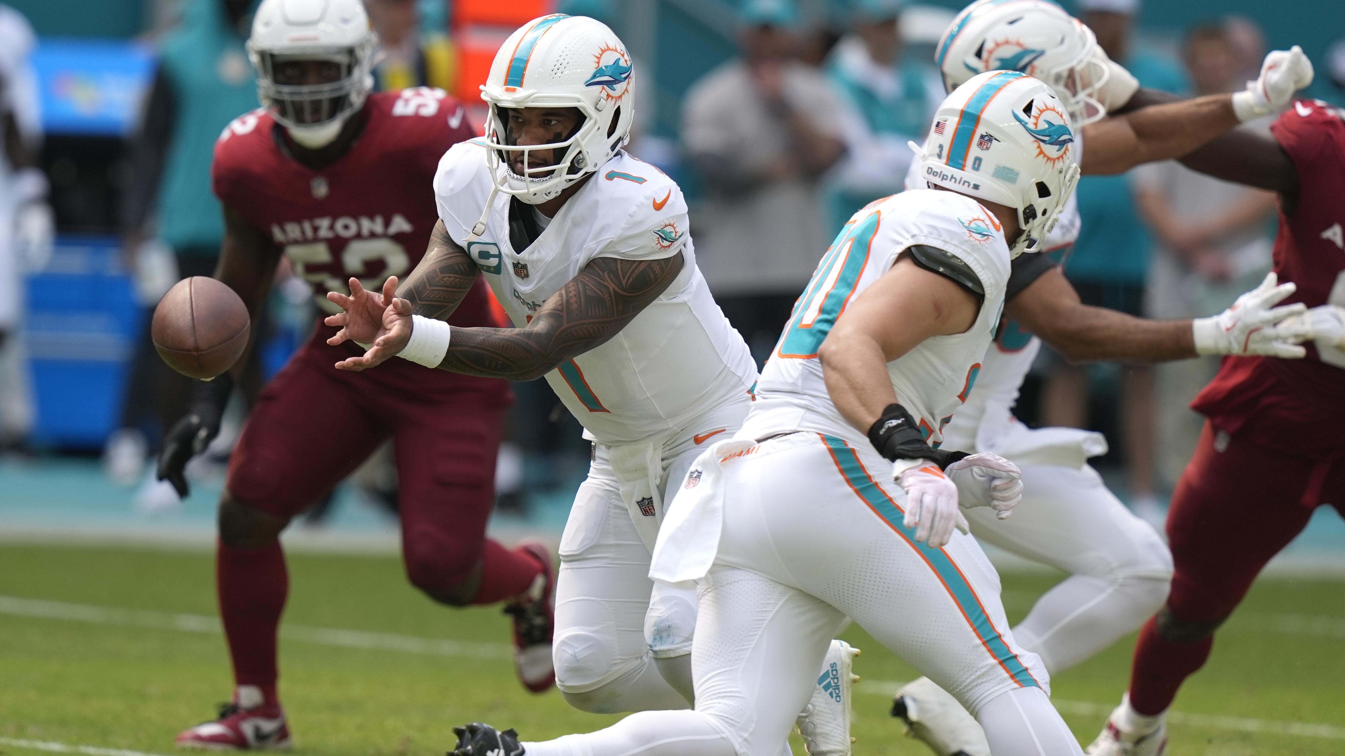 Cardinals Dolphins Football