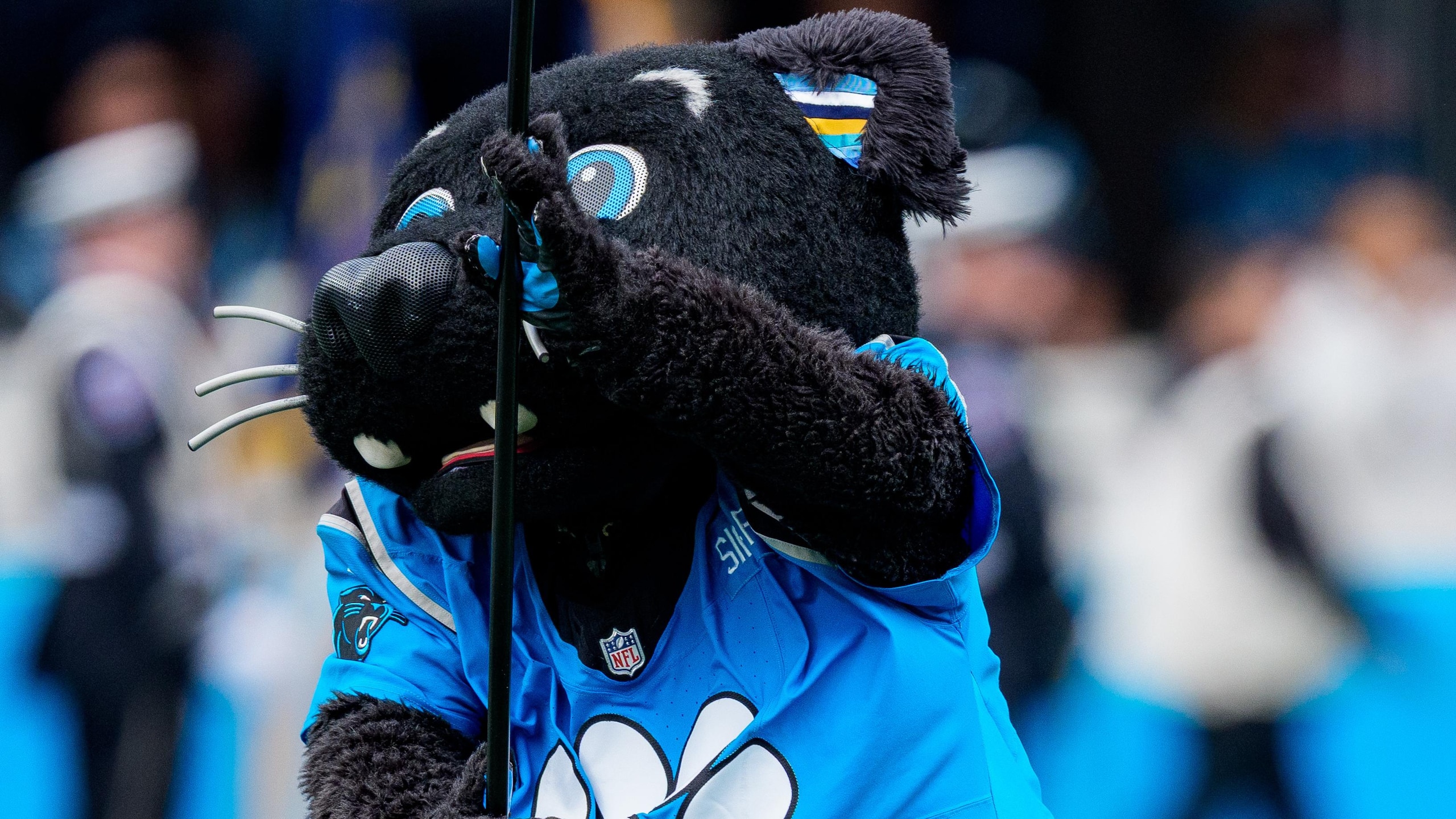 Cowboys Panthers Football