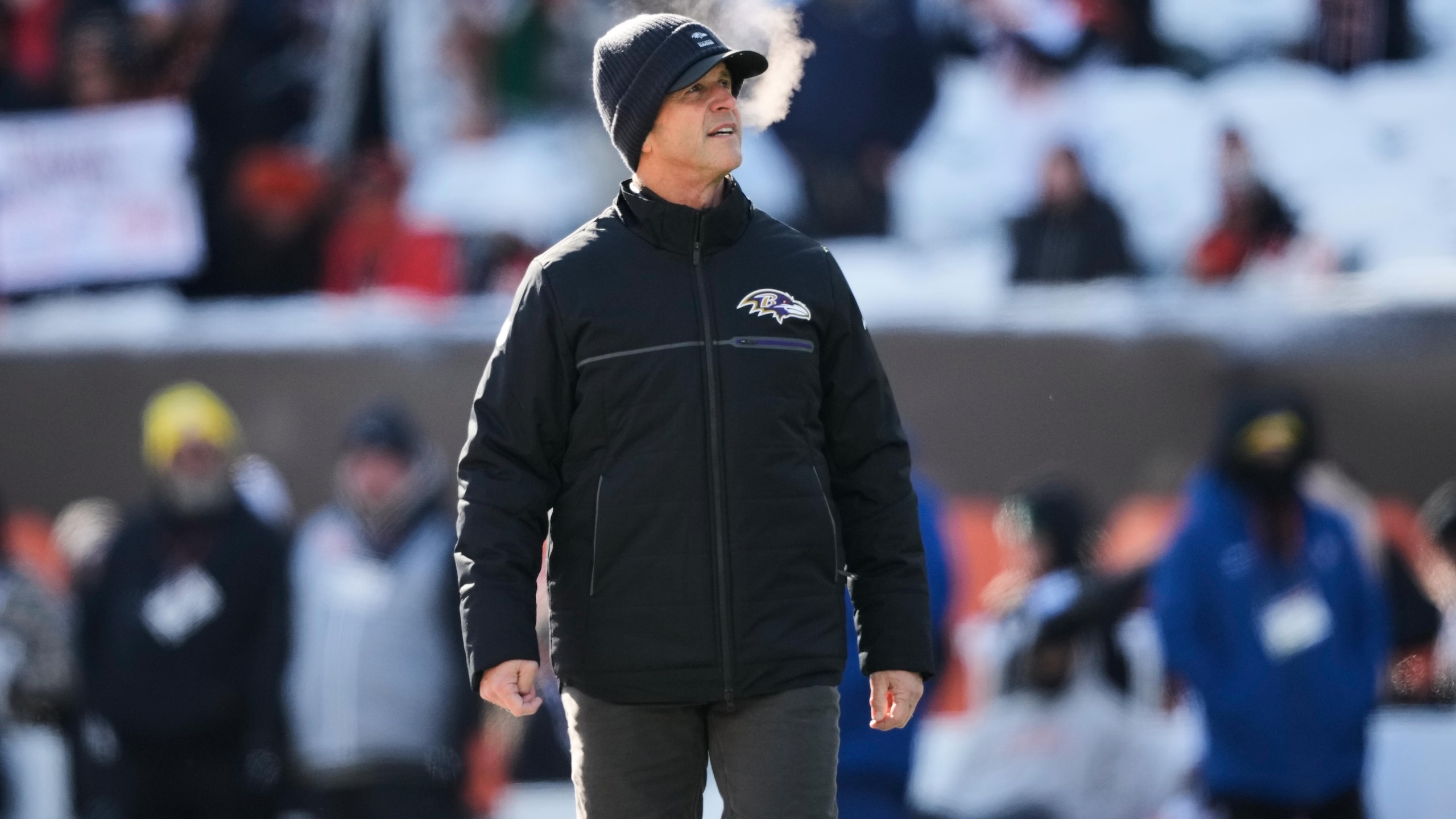 Ravens Bengals Football