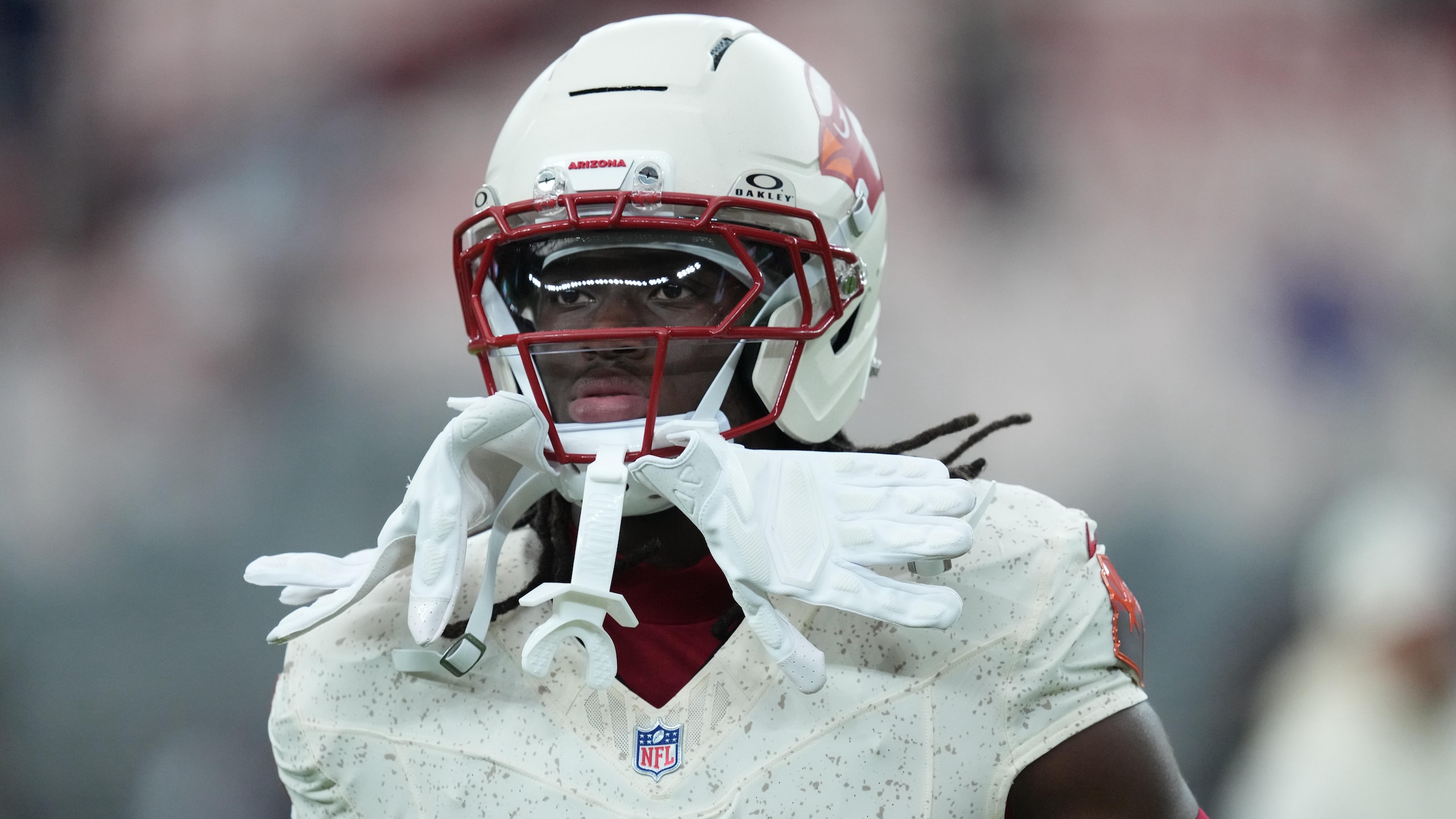 Seahawks Cardinals Football