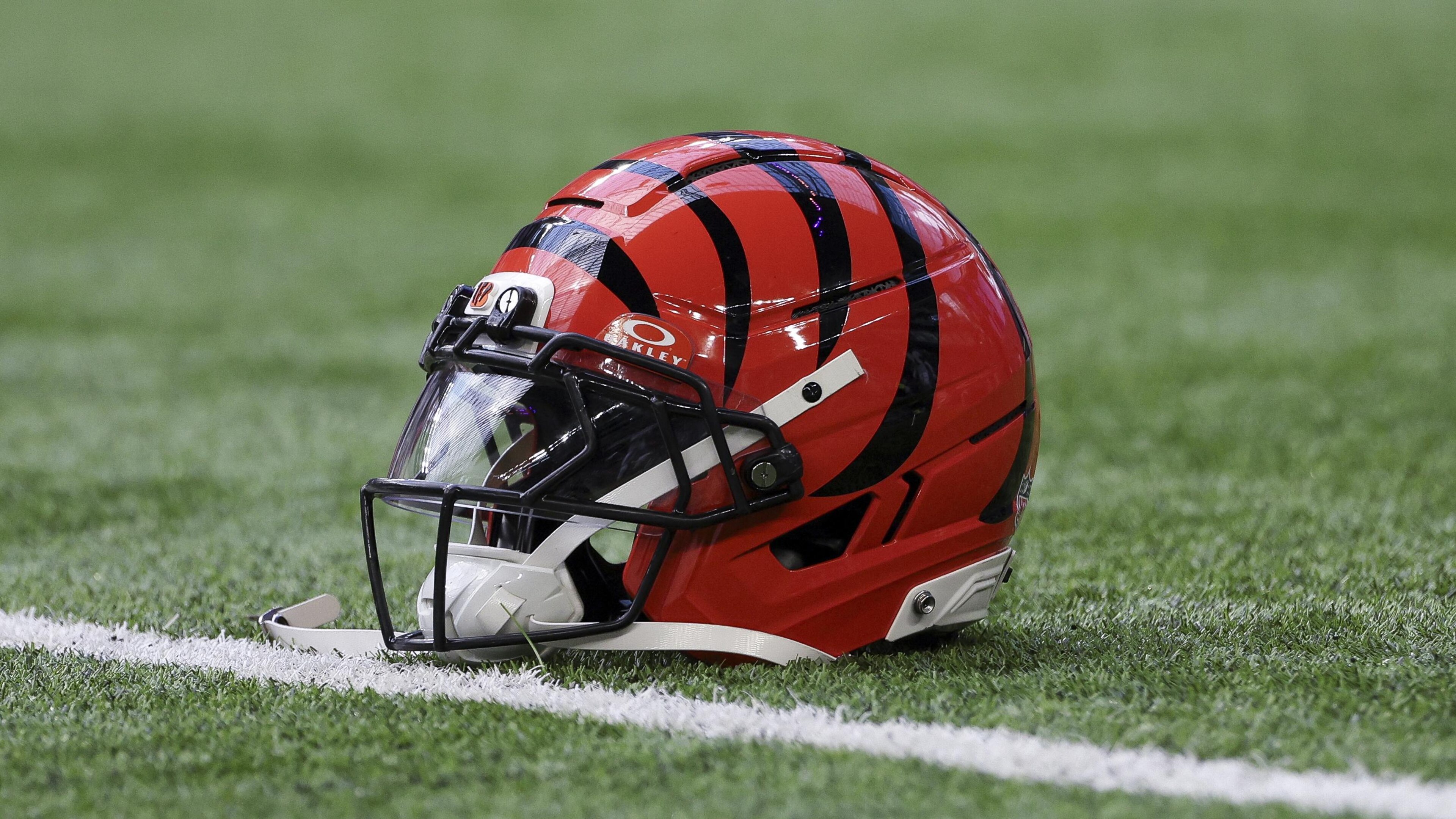 Bengals Vikings Football