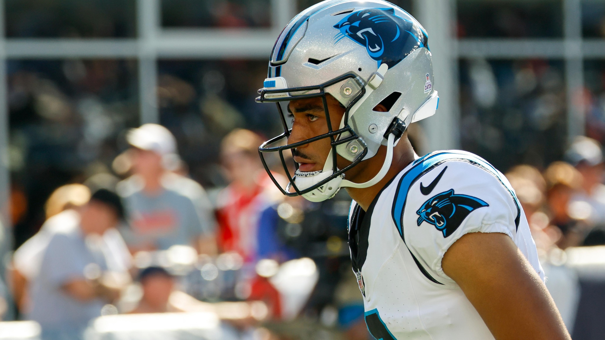 Panthers Patriots Football