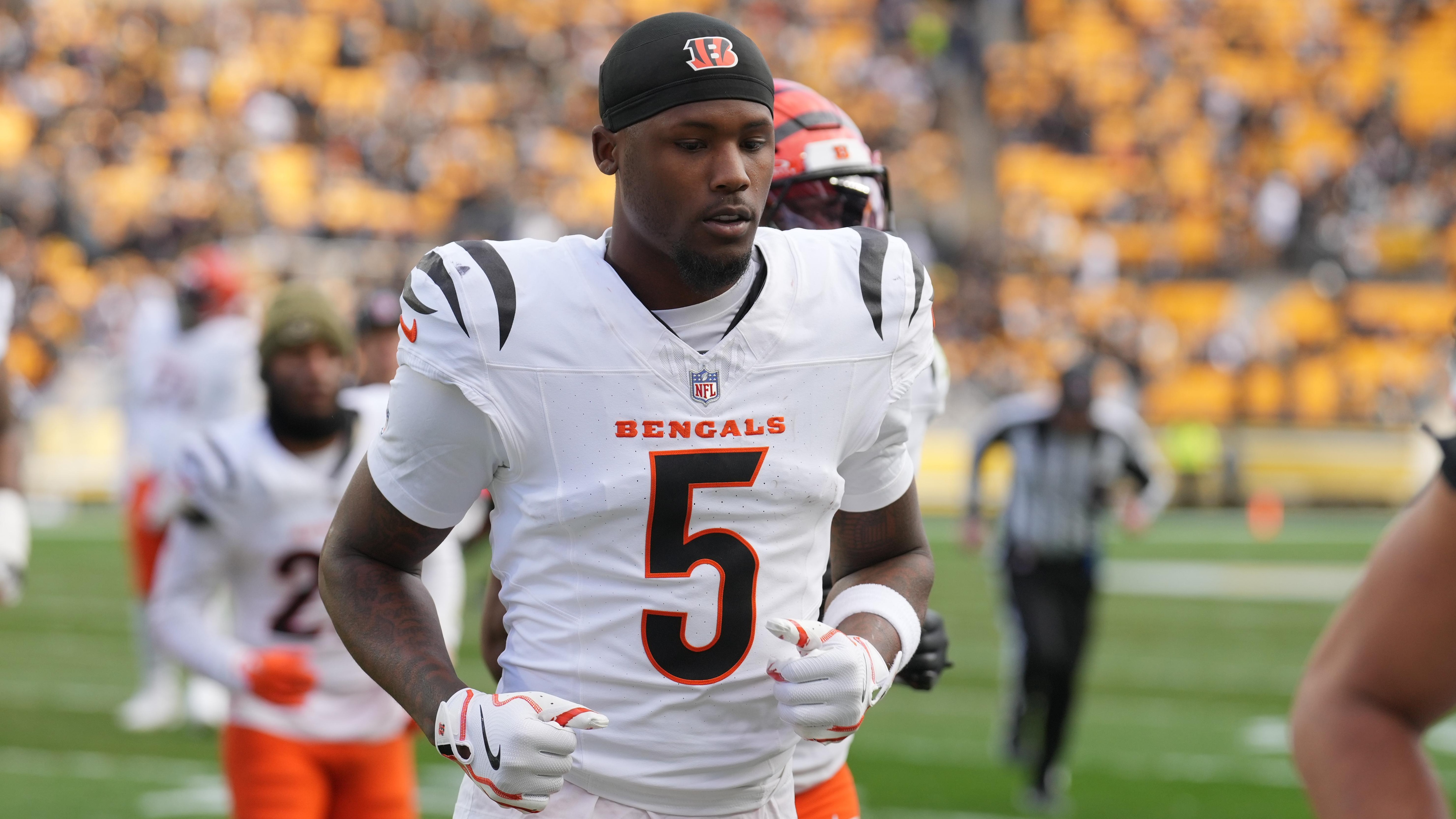 Bengals Steelers Football