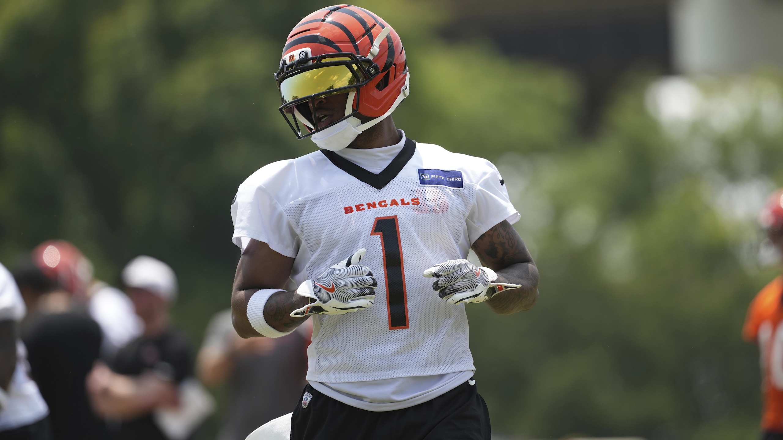 Bengals Football