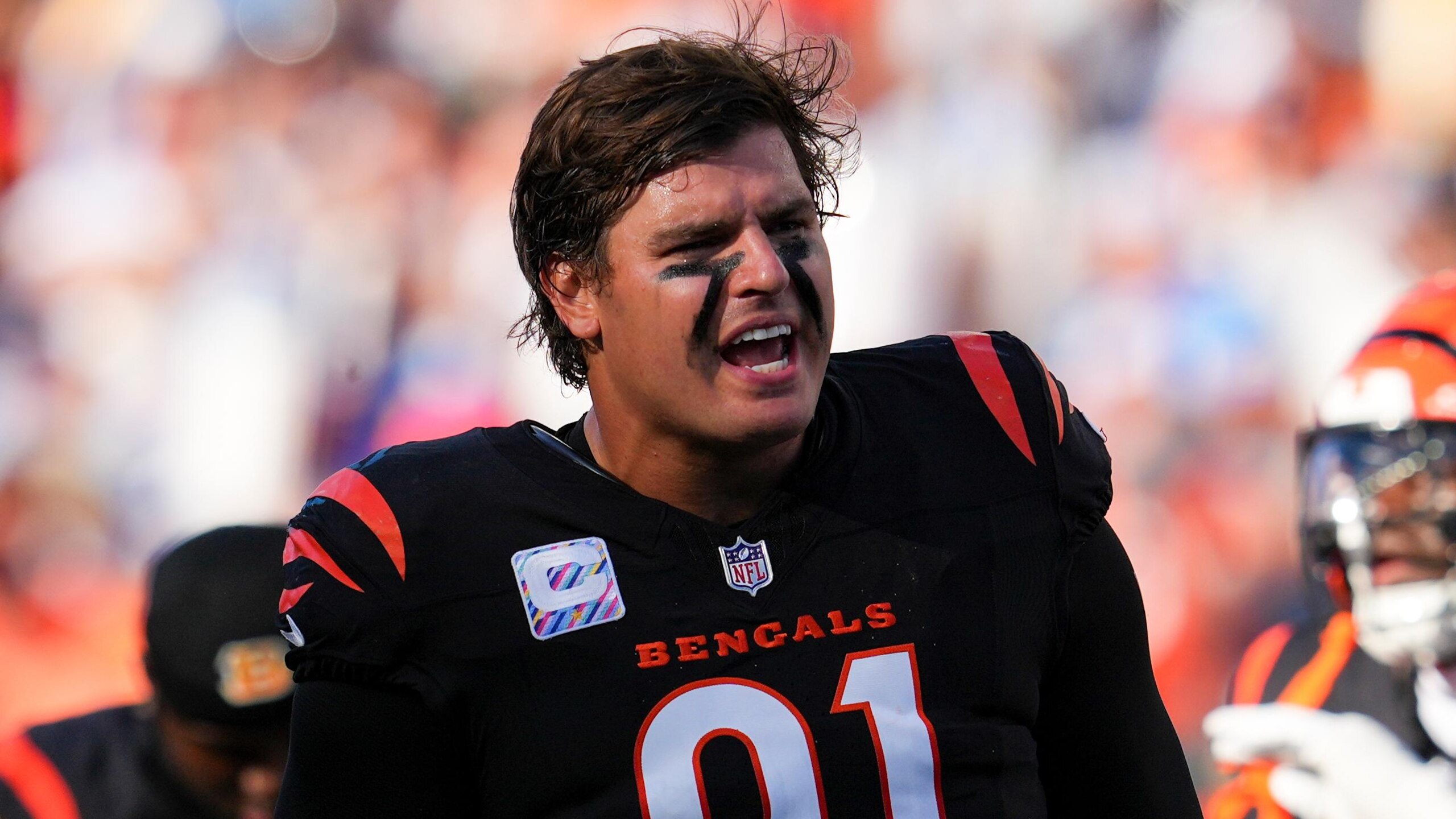 Lions Bengals Football
