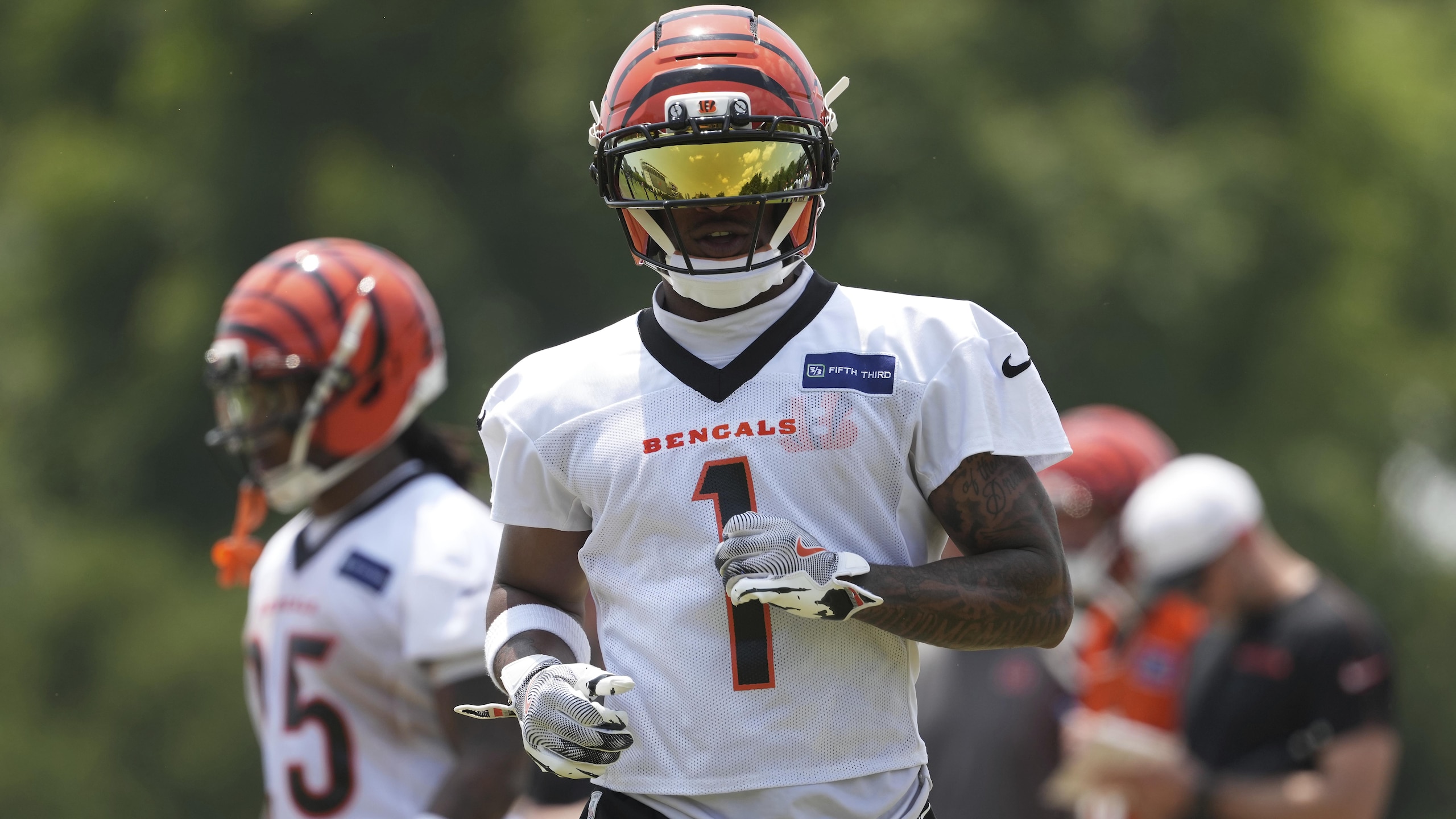Bengals Football