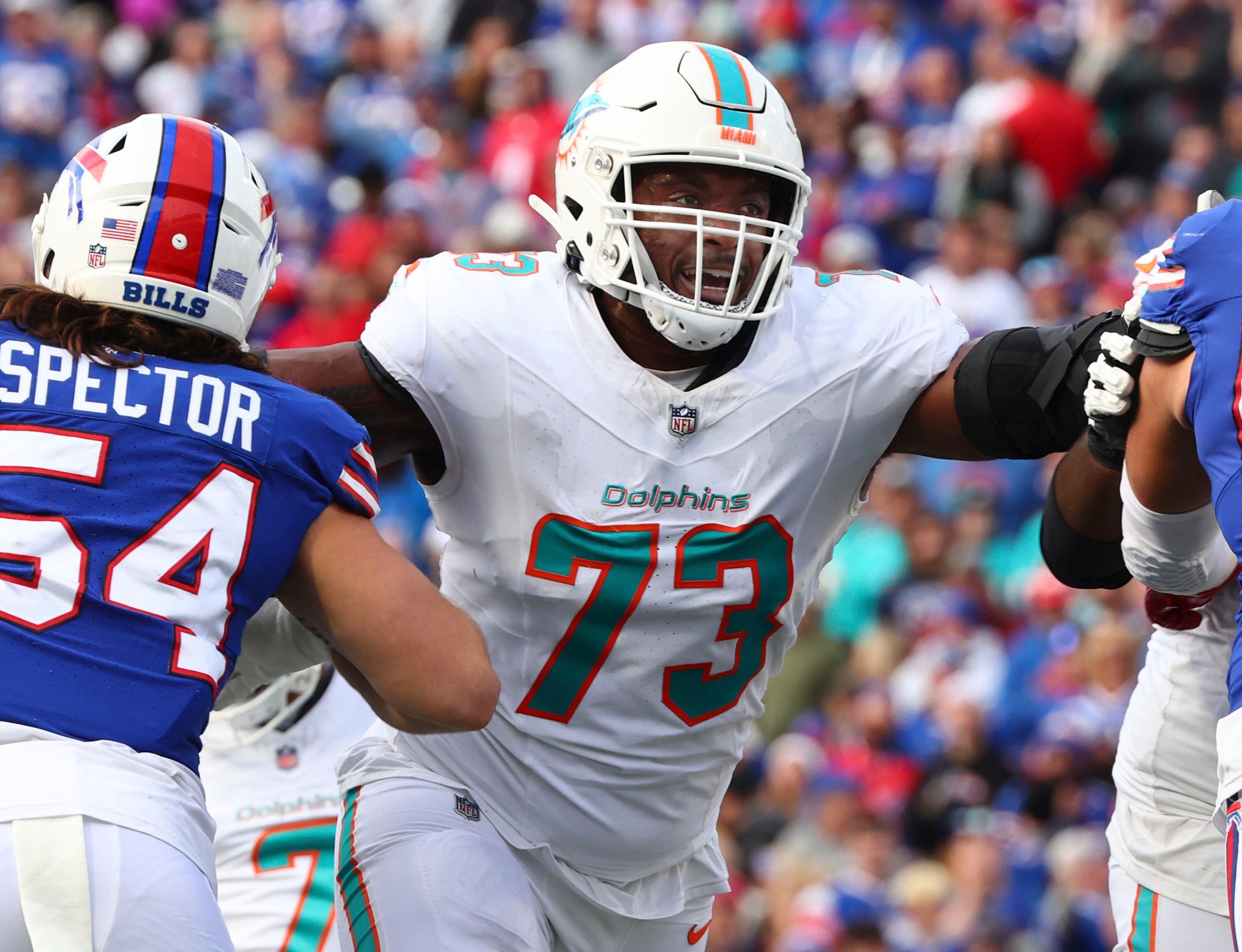 Dolphins Moves Football
