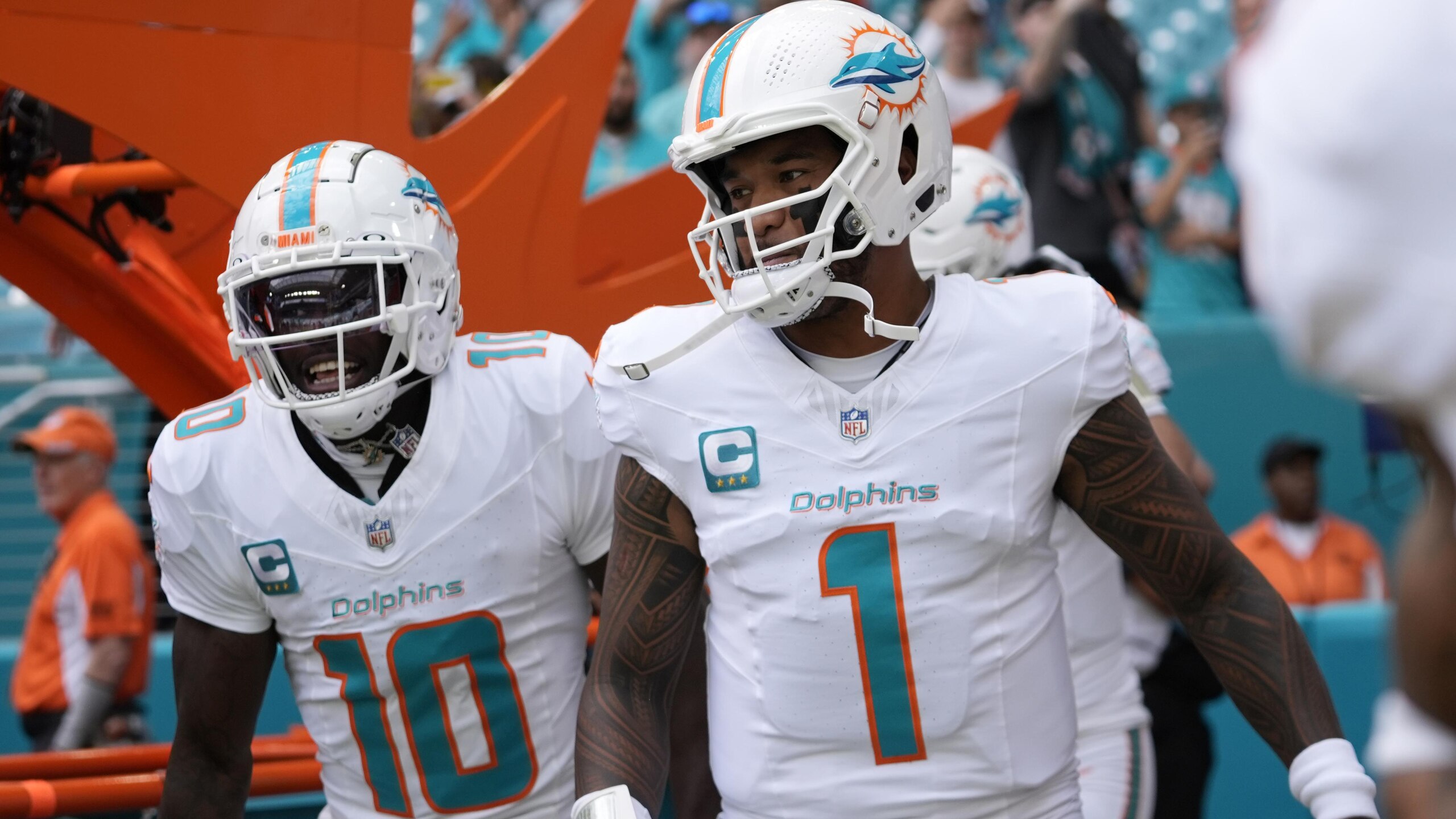 Cardinals Dolphins Football