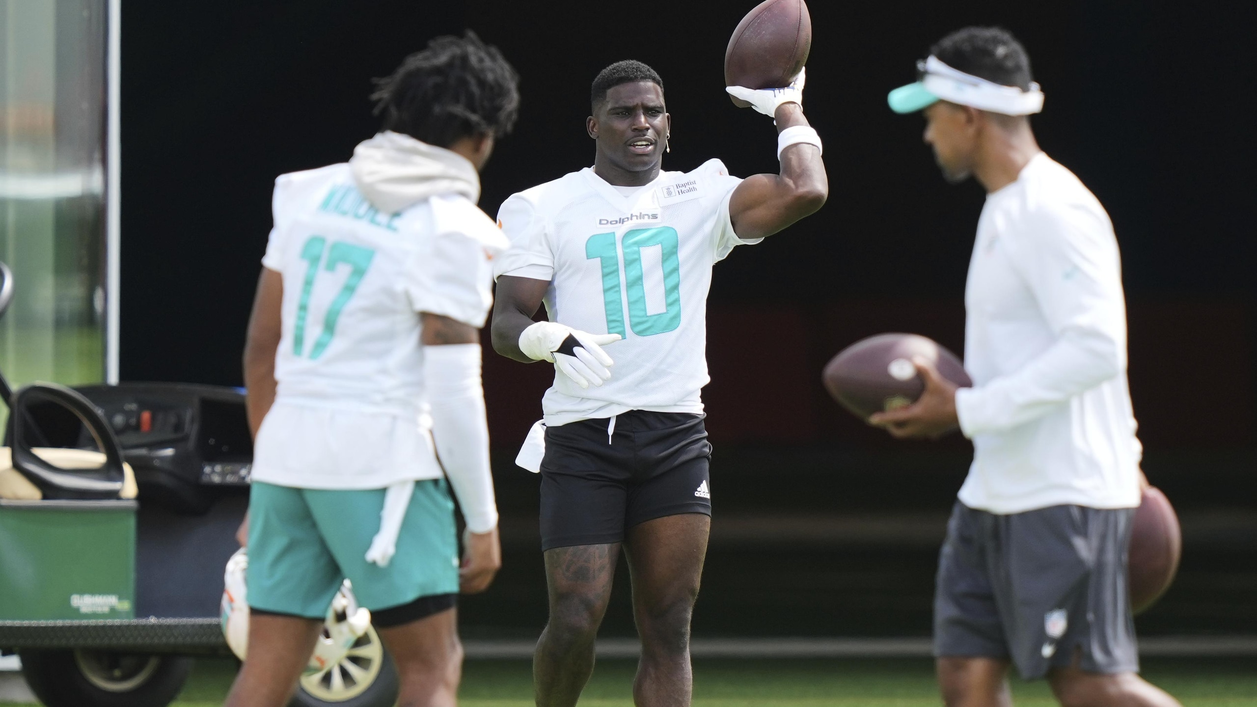 Dolphins Football