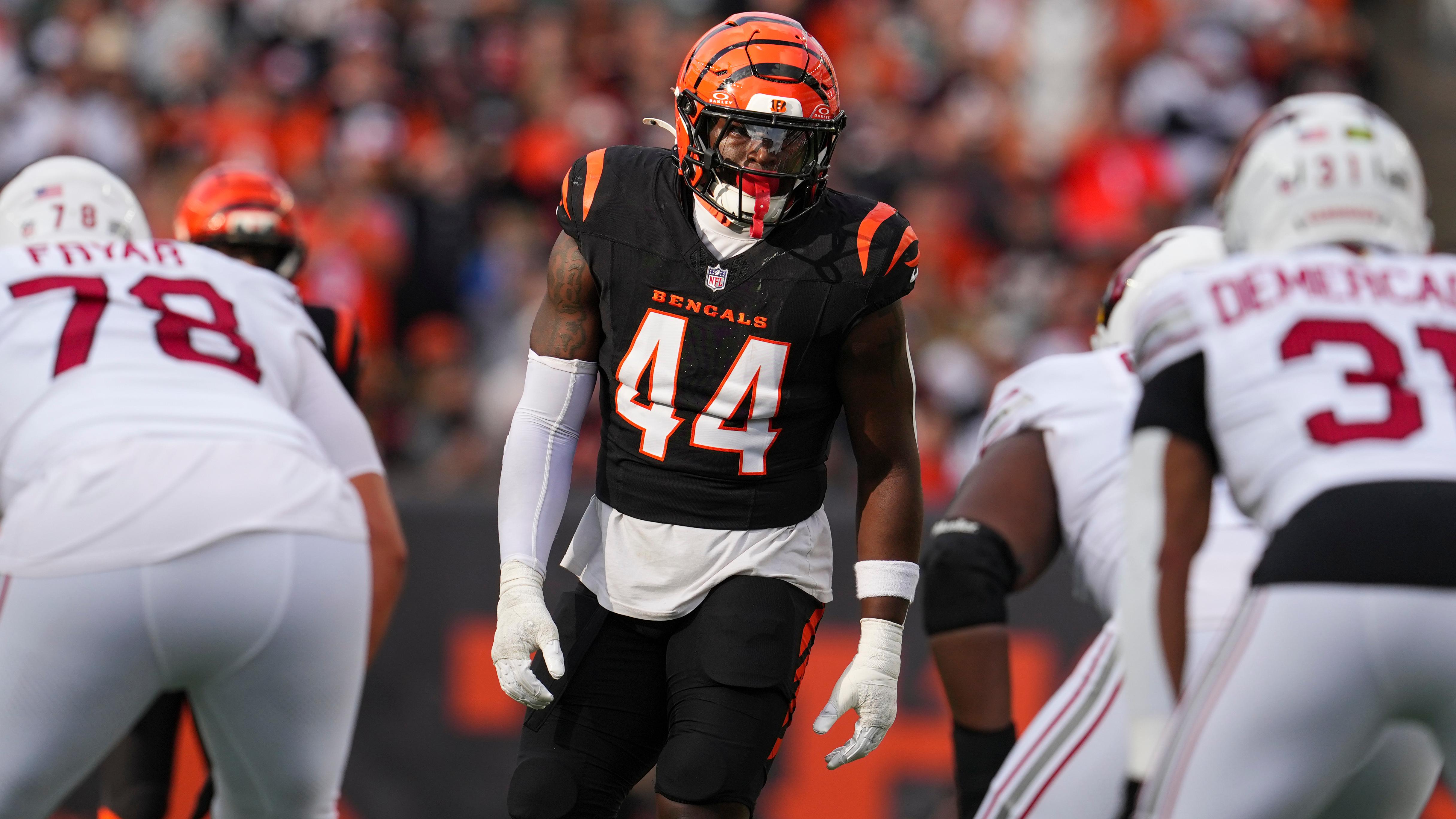 Cardinals Bengals Football