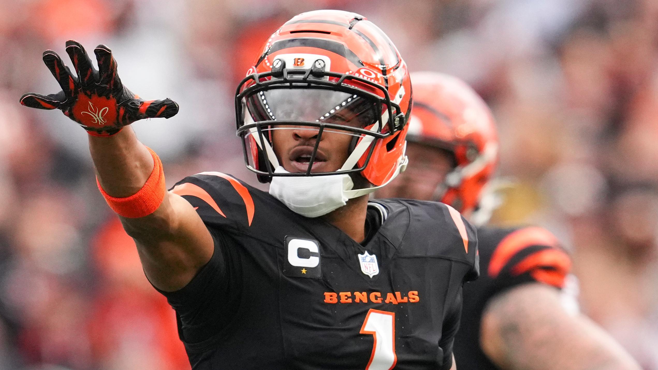 Cardinals Bengals Football