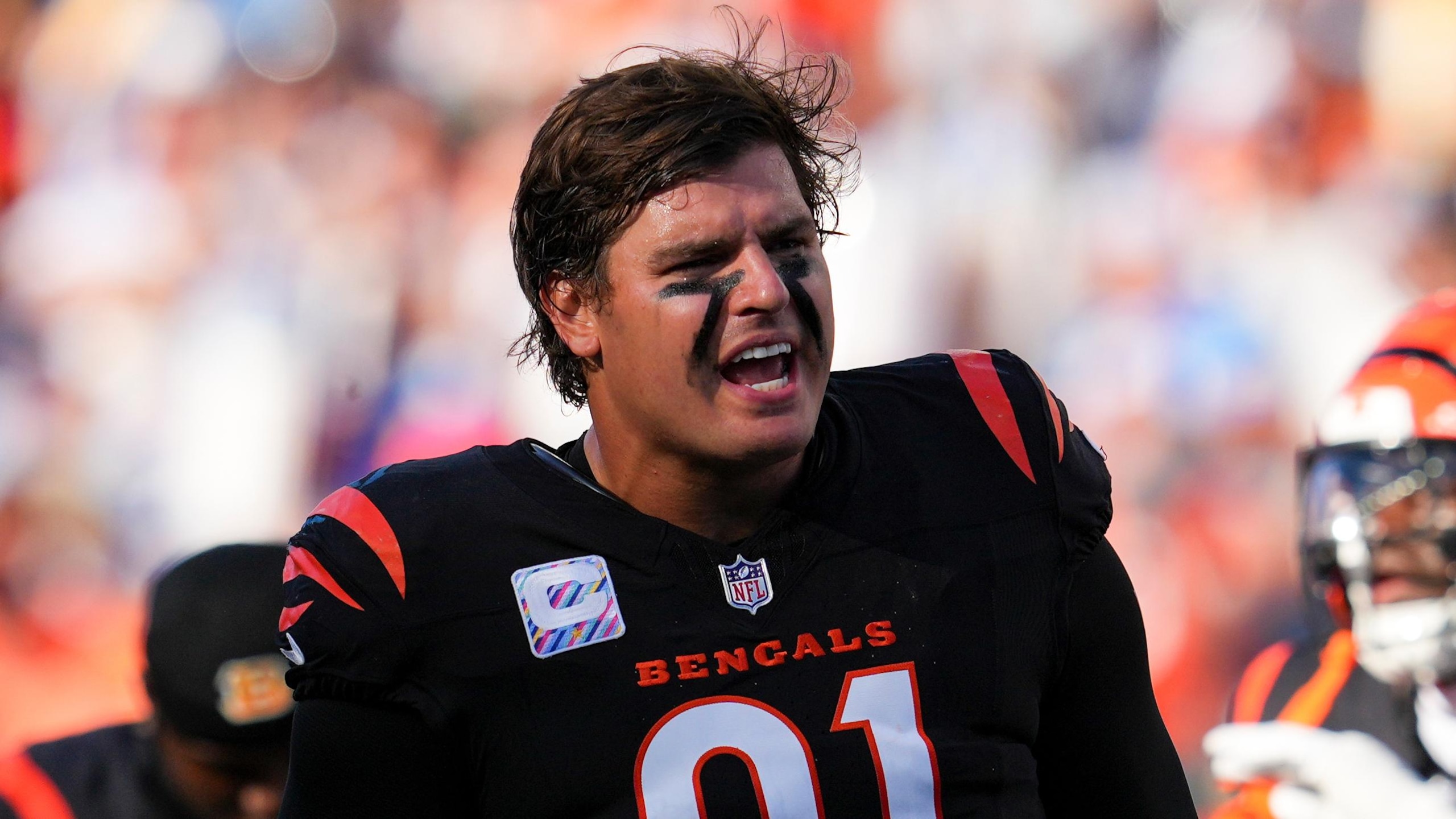 Lions Bengals Football