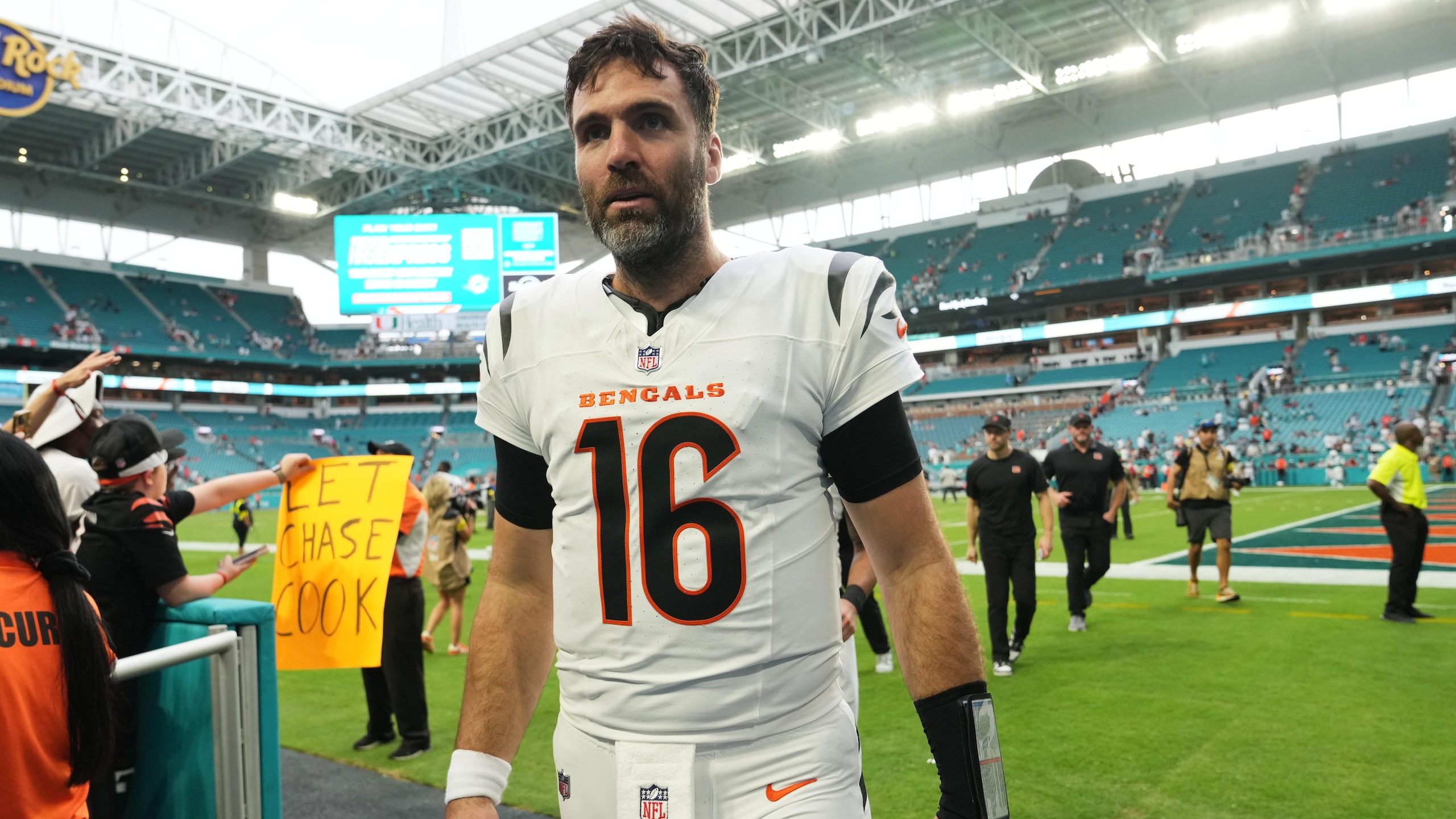 Bengals Dolphins Football