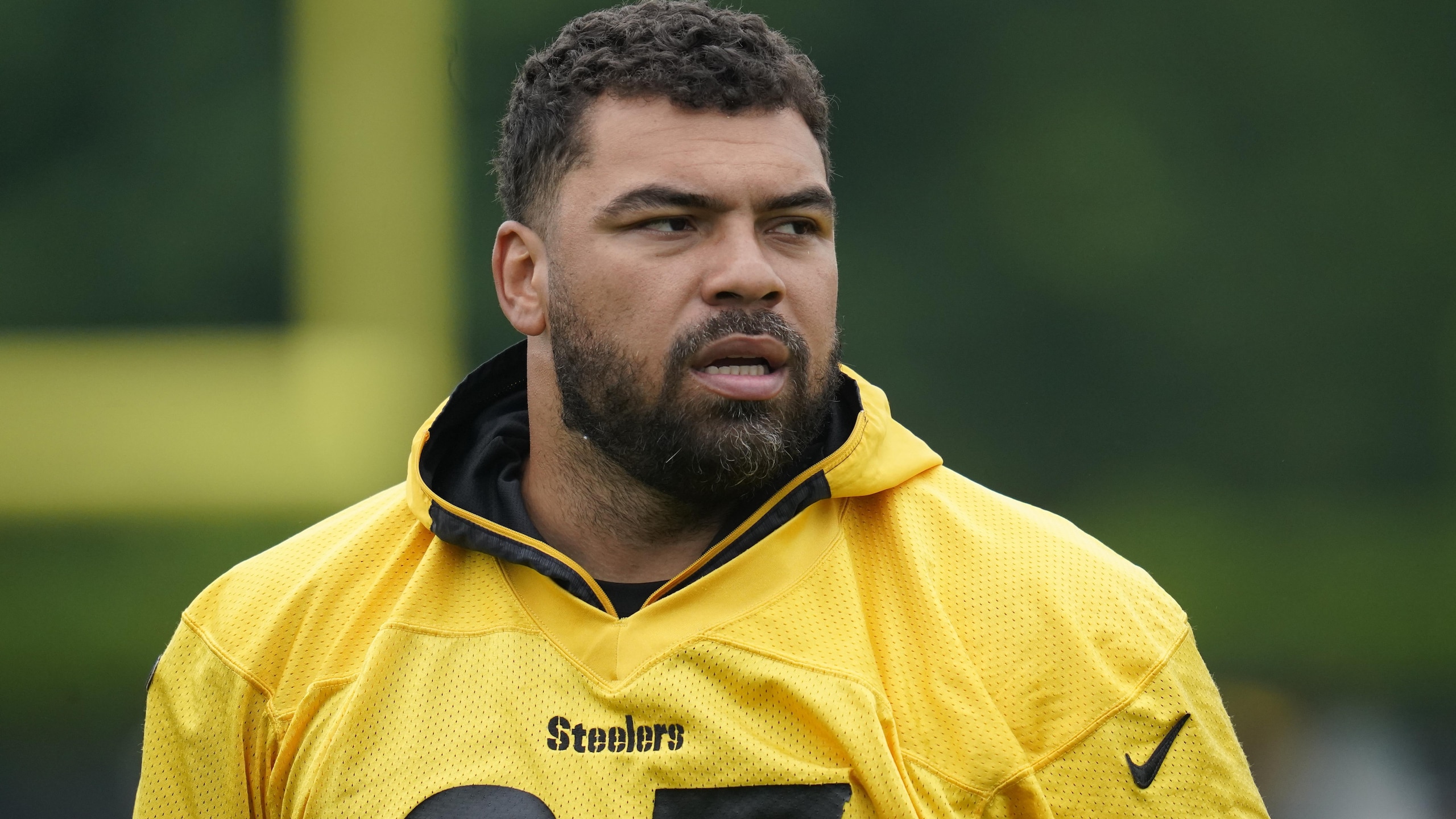 Steelers Heyward Football