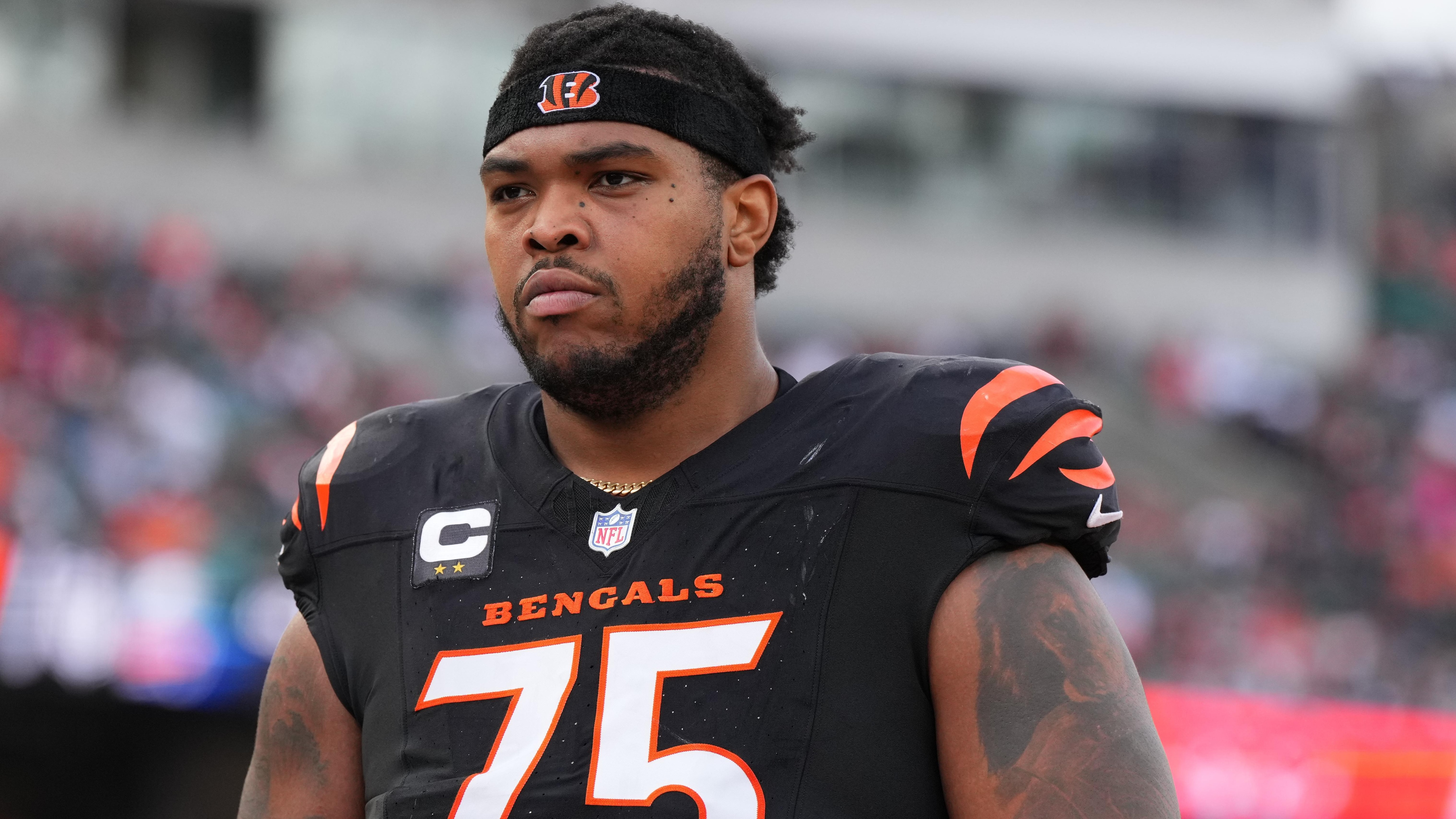 Bengals Free Agency Football