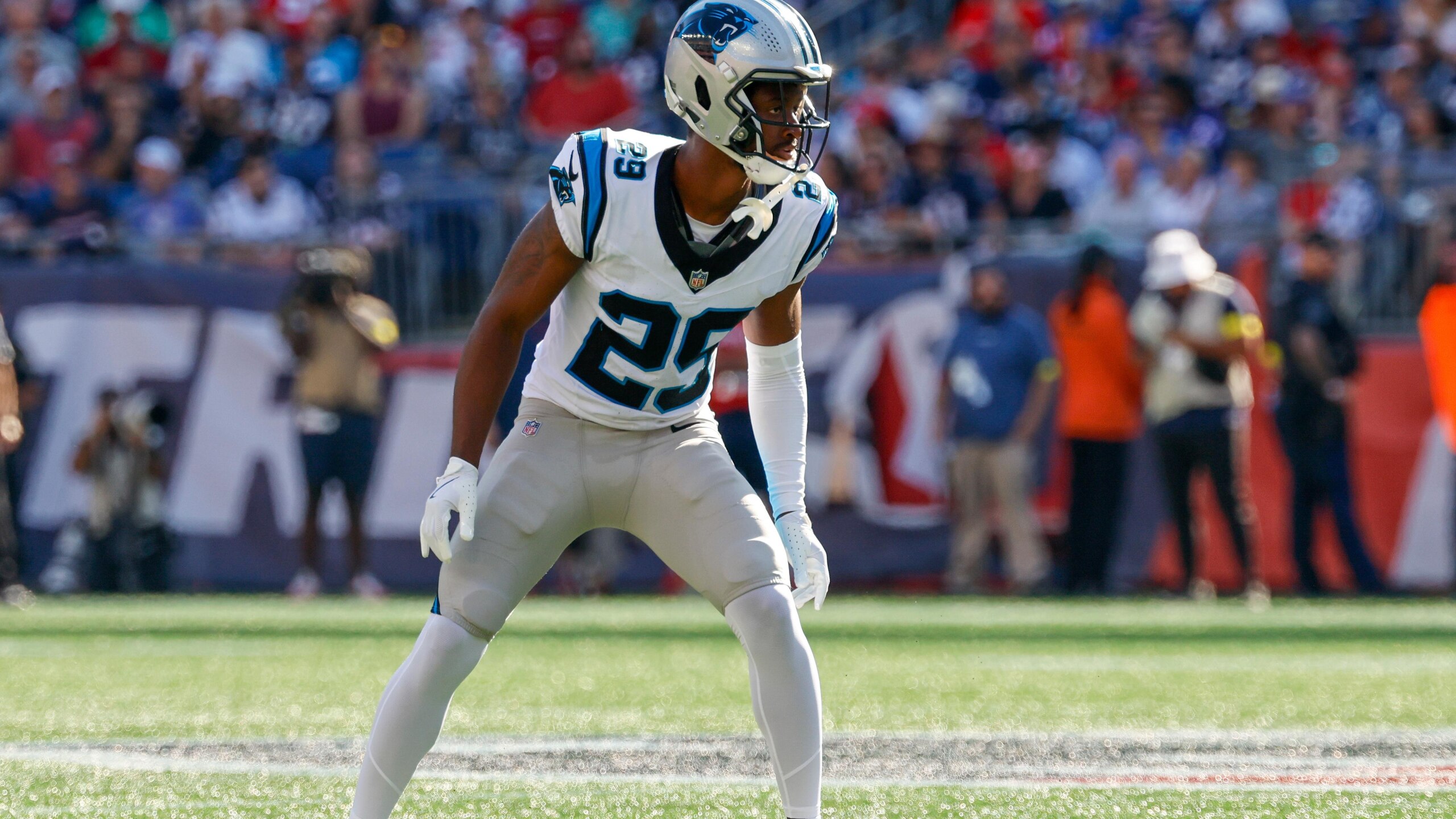 Panthers Patriots Football