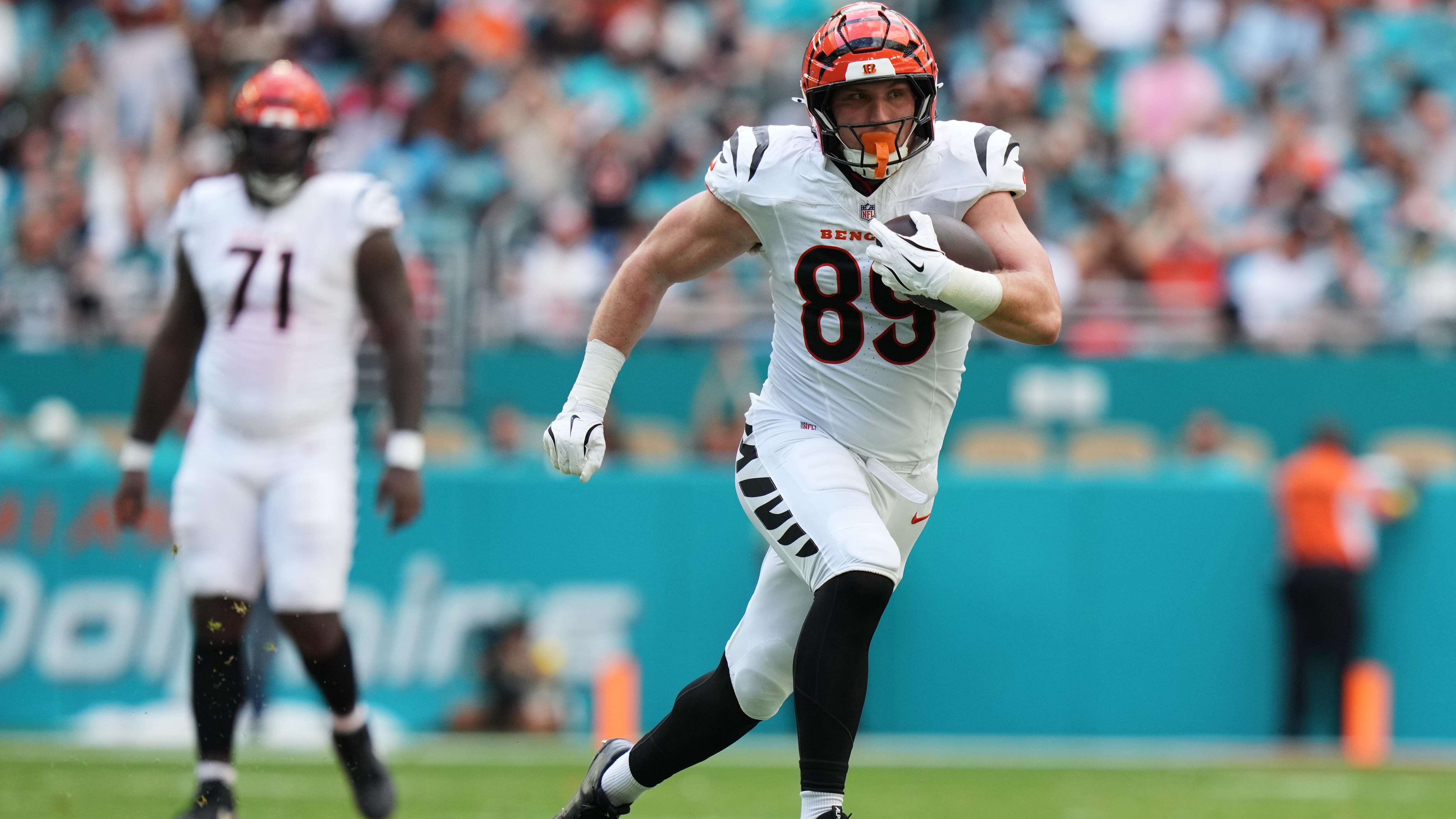 Bengals Dolphins Football