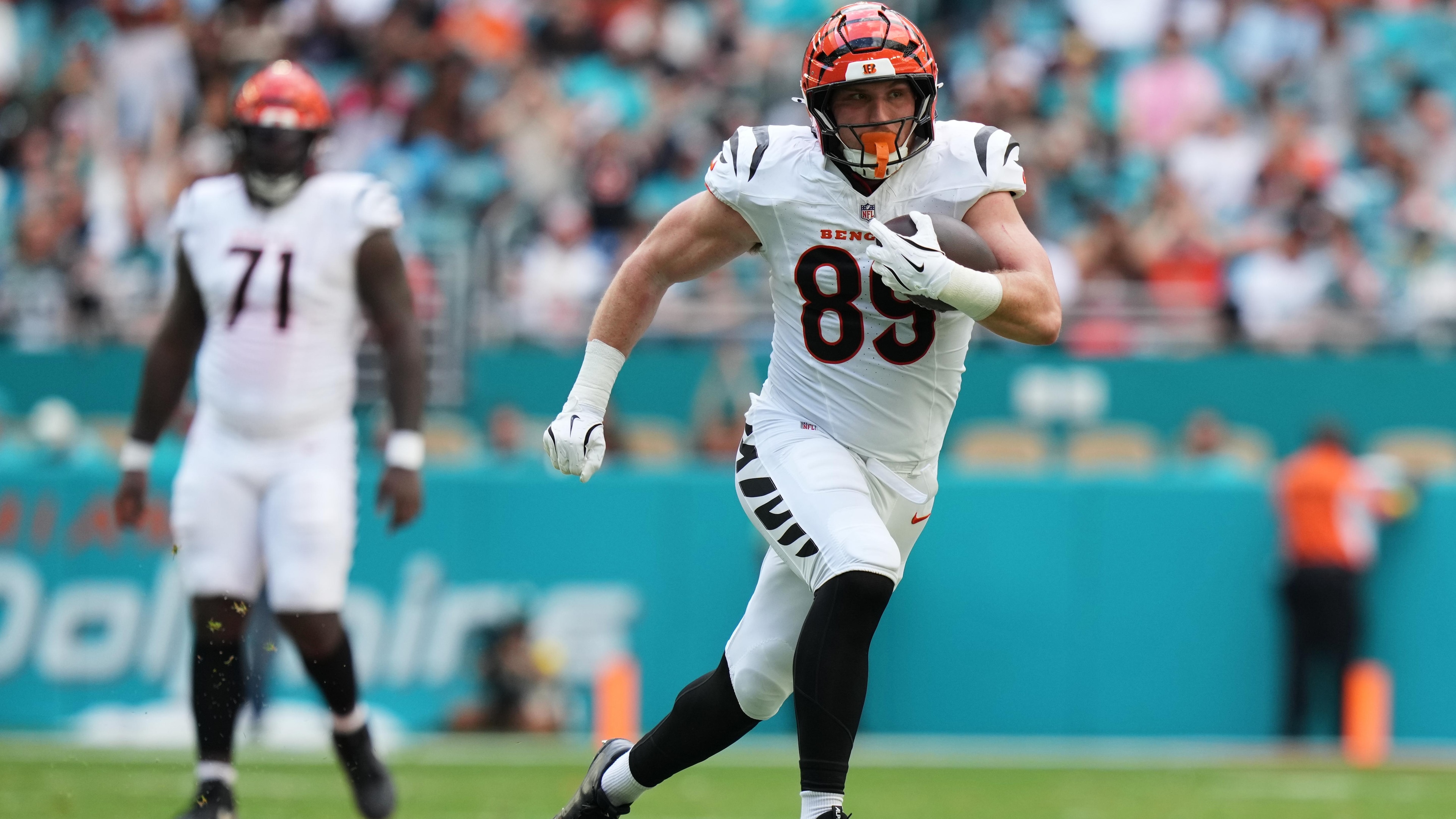 Bengals Dolphins Football