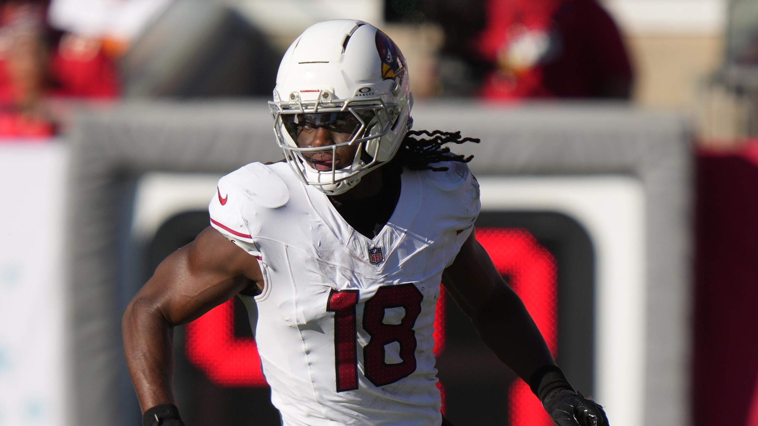 Cardinals Buccaneers Football