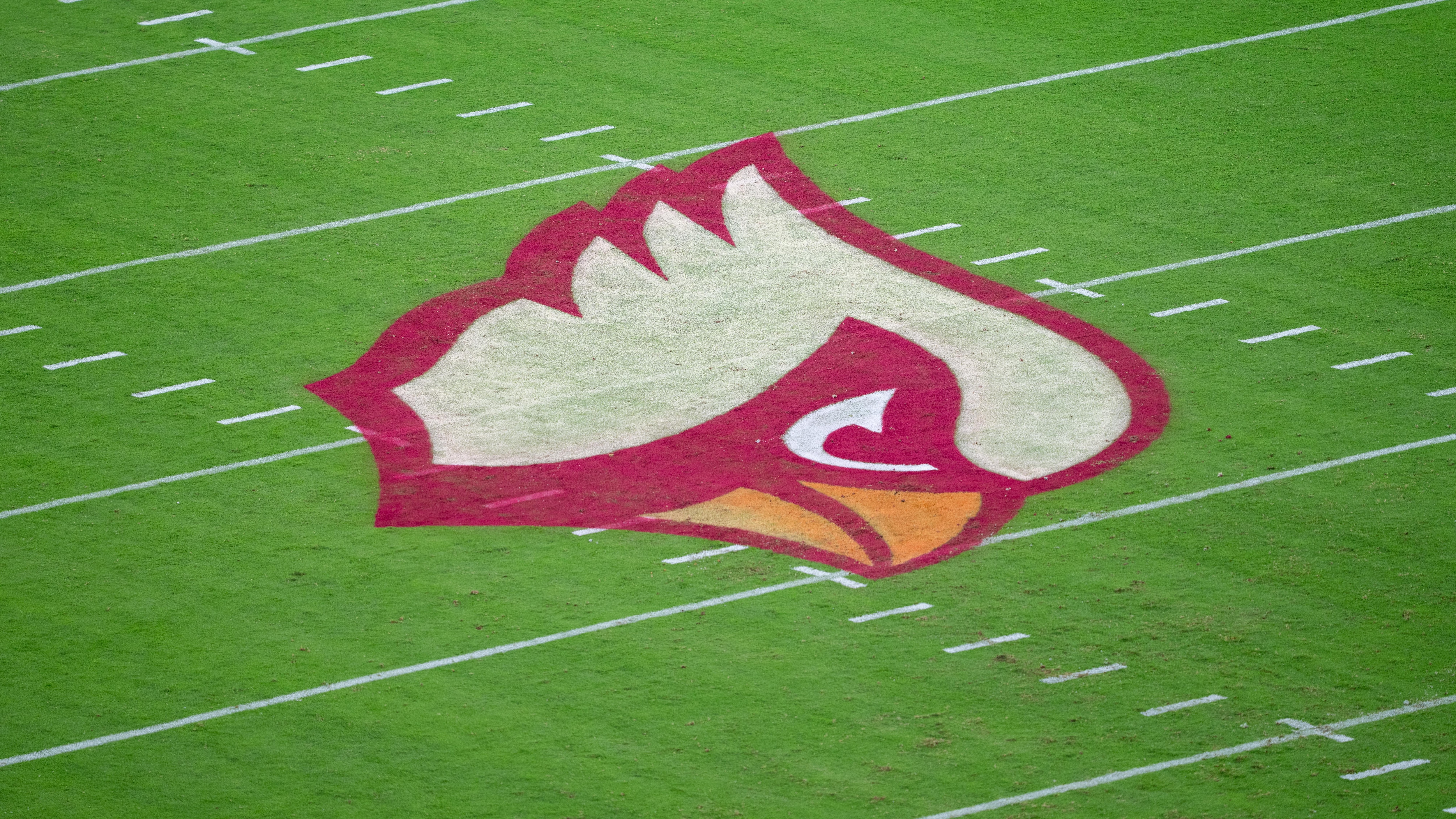 Seahawks Cardinals Football