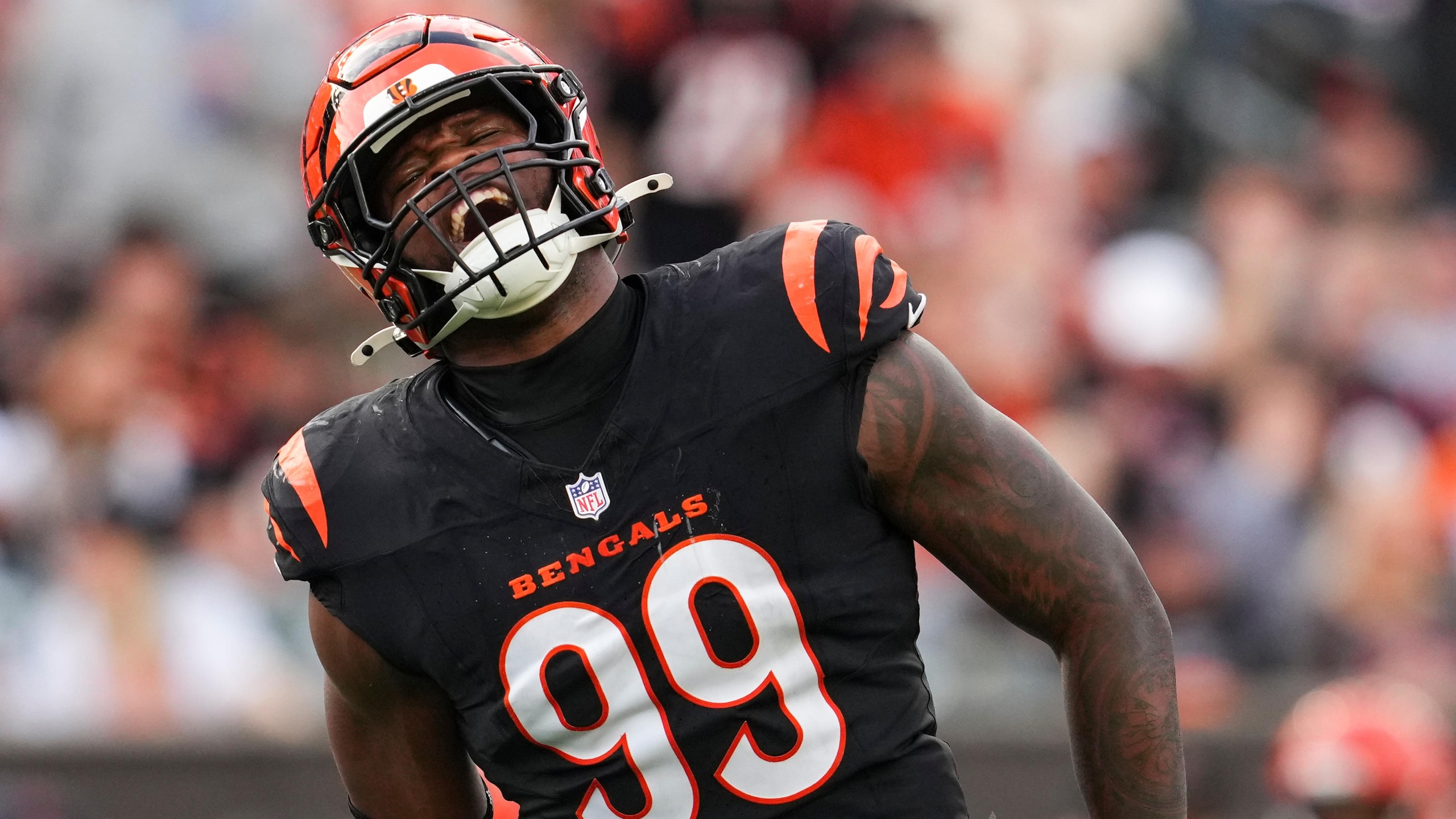 Cardinals Bengals Football