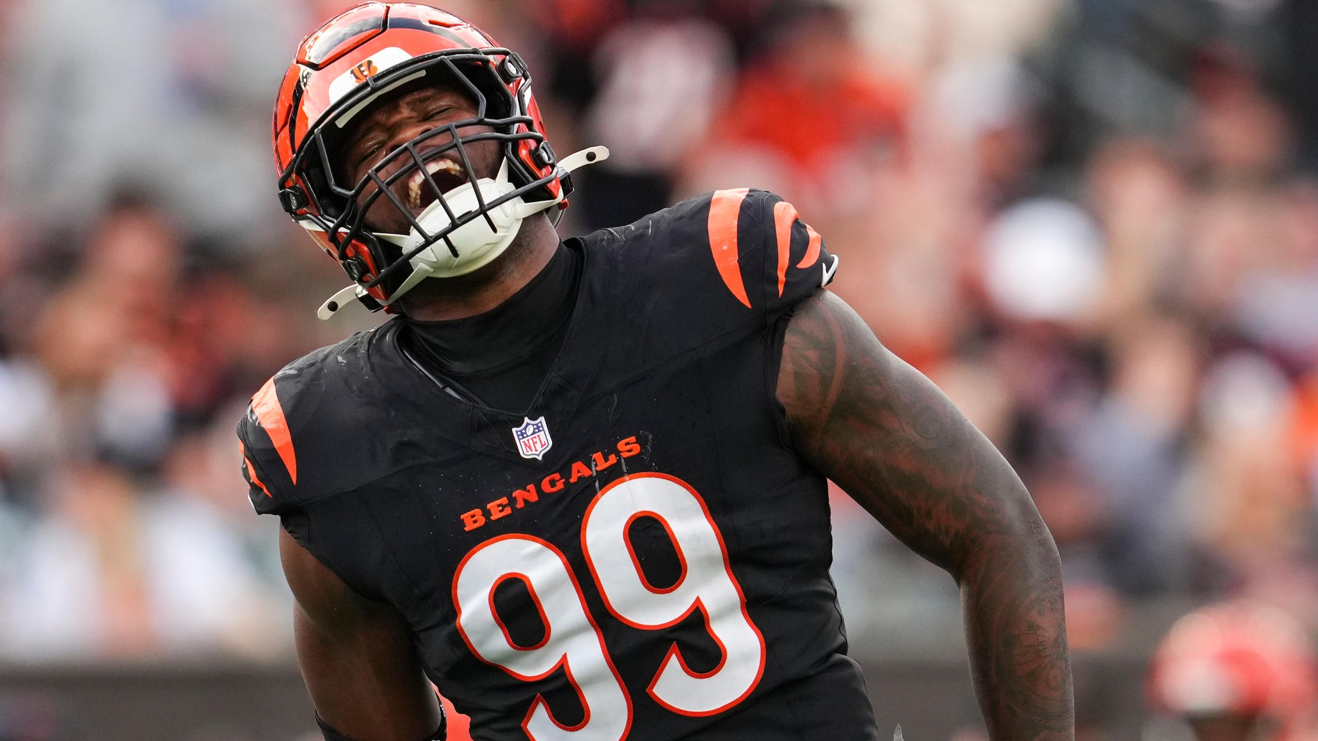 Cardinals Bengals Football
