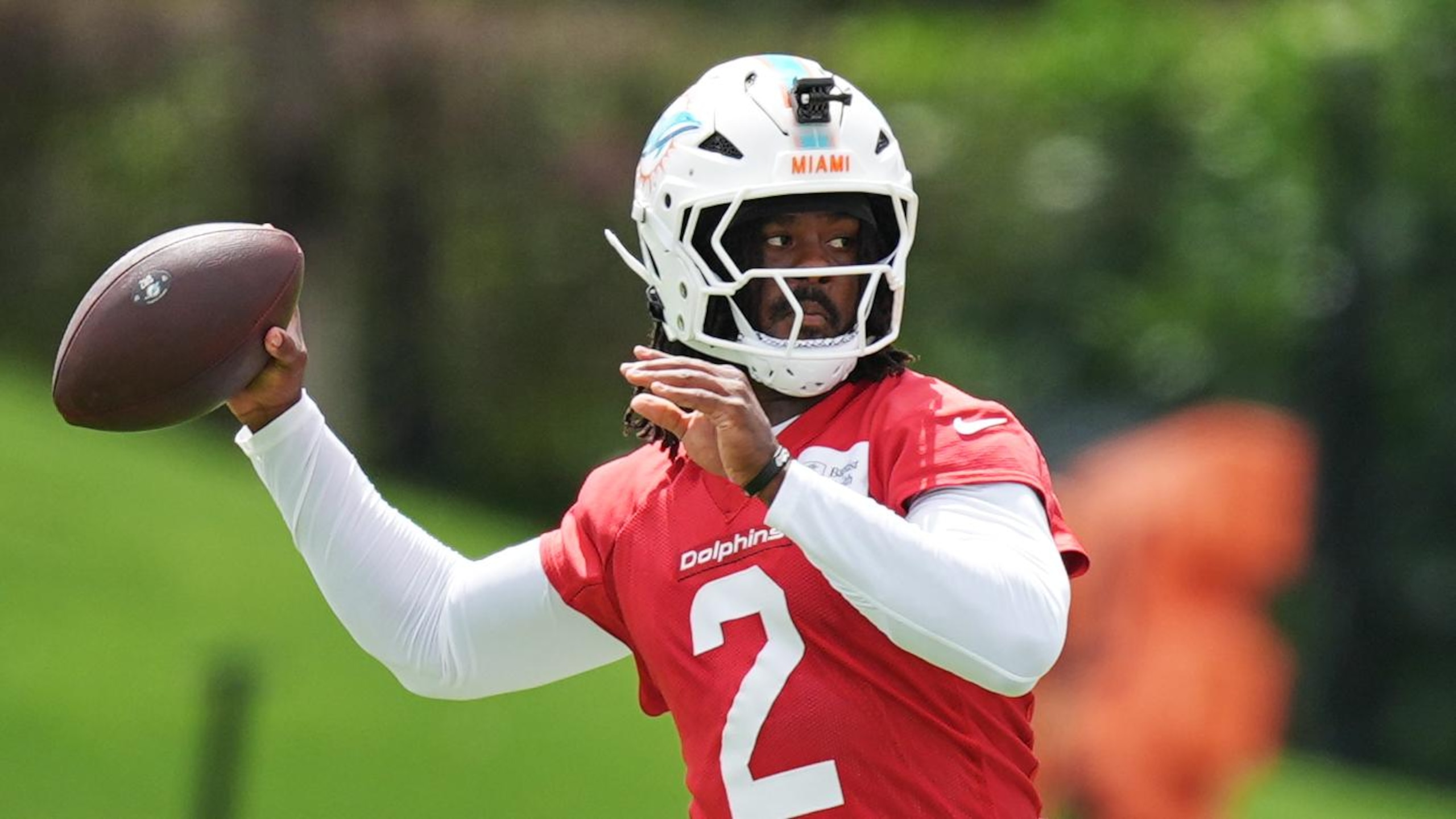 Dolphins Football