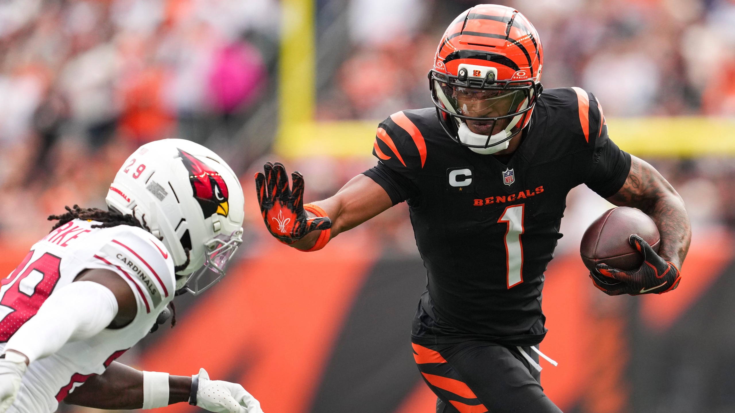 Cardinals Bengals Football