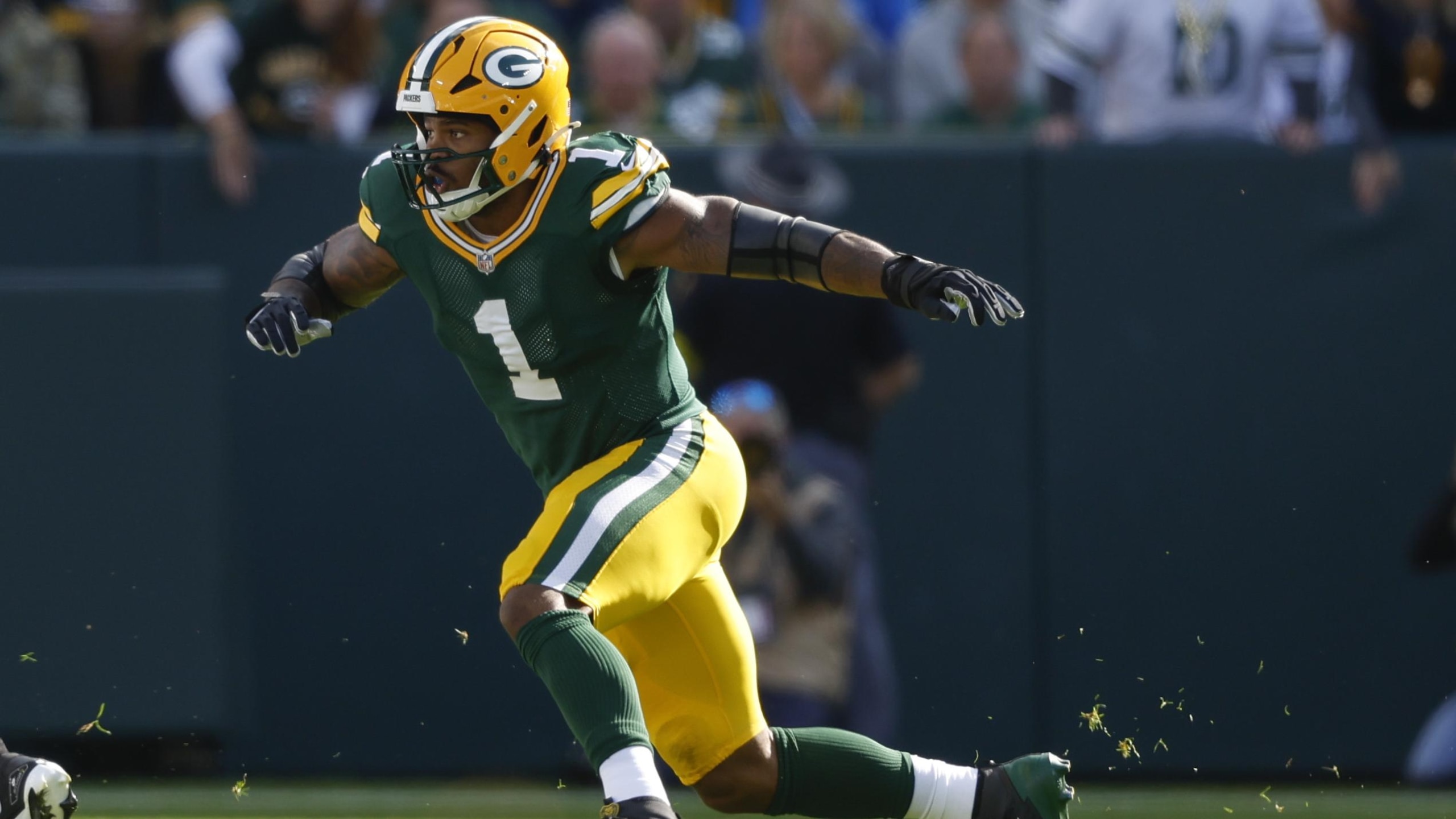 Lions Packers Football