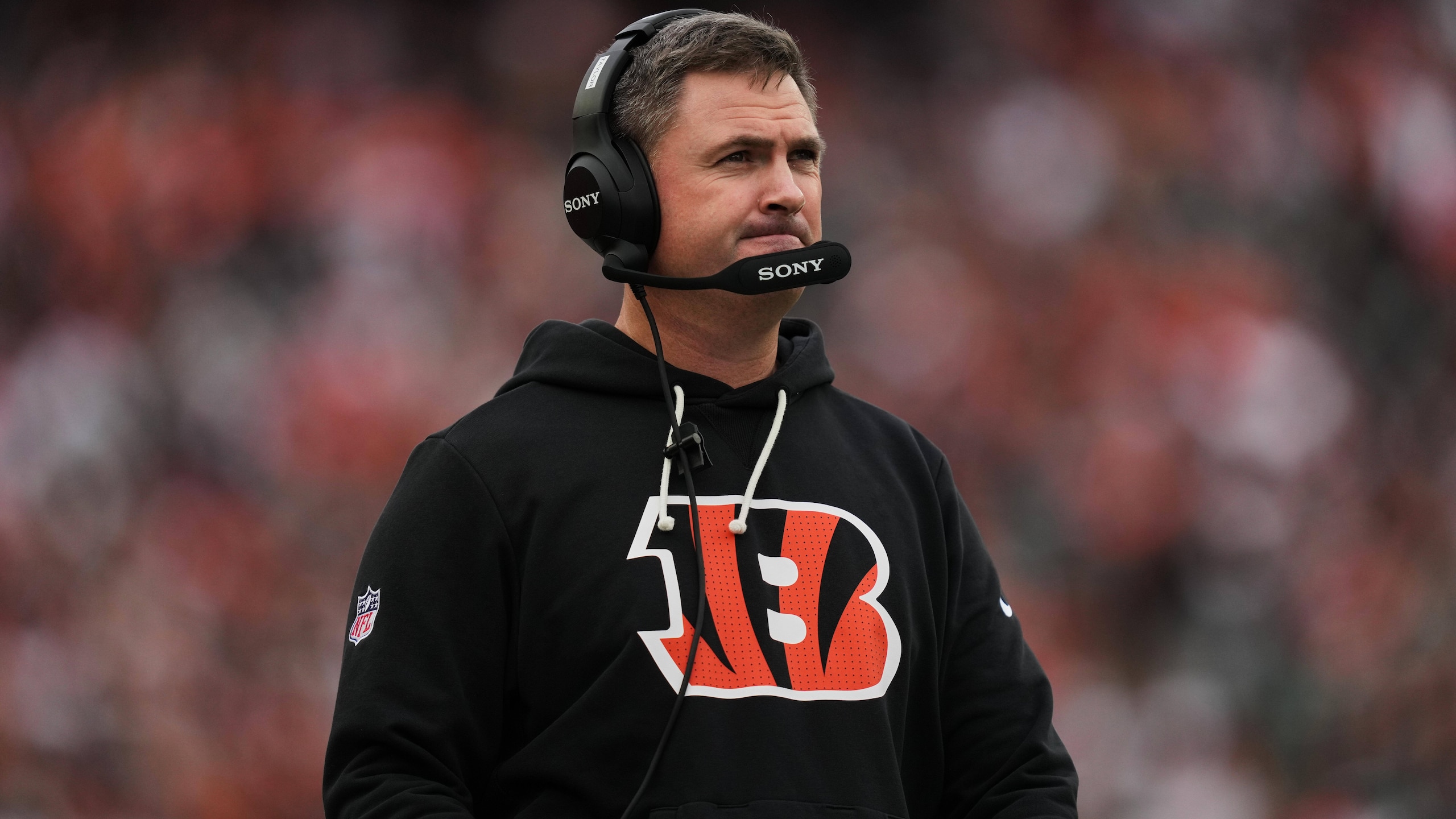 Cardinals Bengals Football
