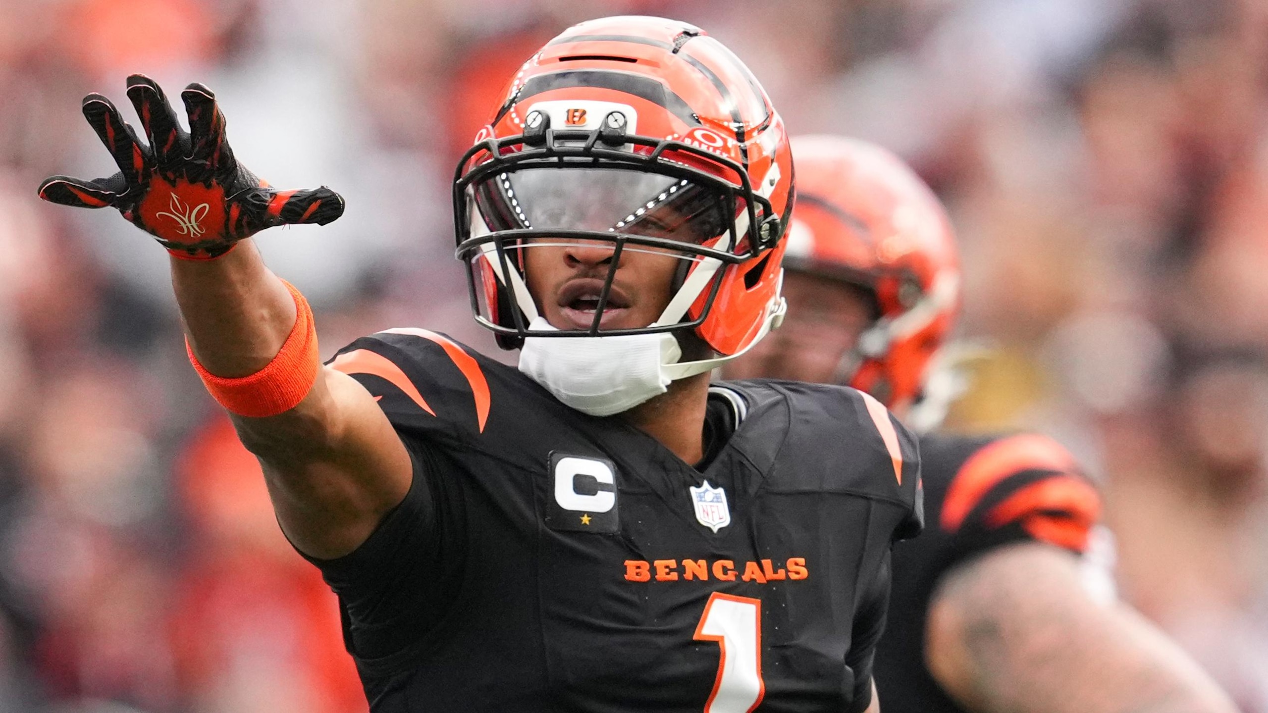 Cardinals Bengals Football