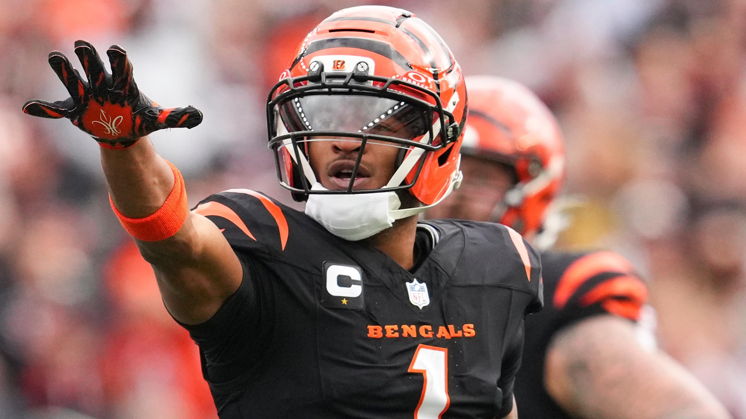 Cardinals Bengals Football