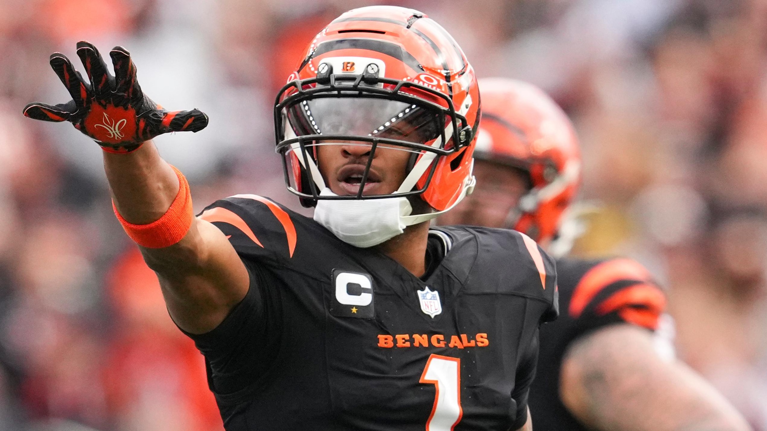 Cardinals Bengals Football