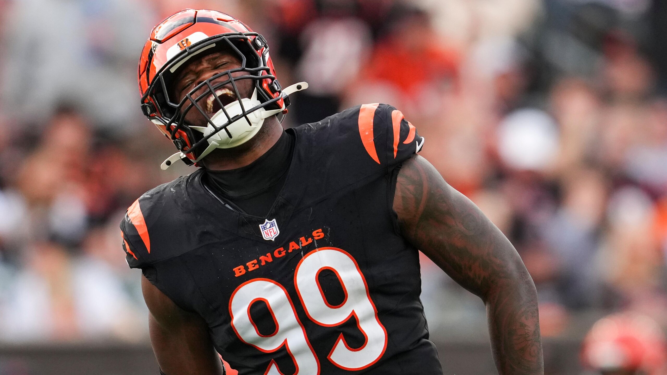 Cardinals Bengals Football