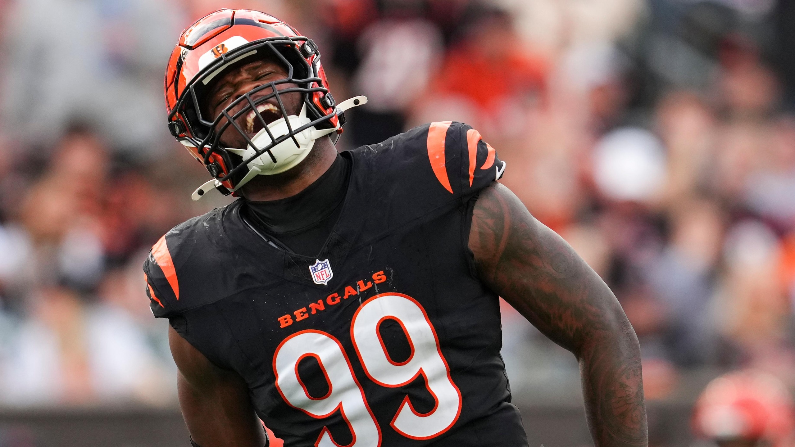 Cardinals Bengals Football