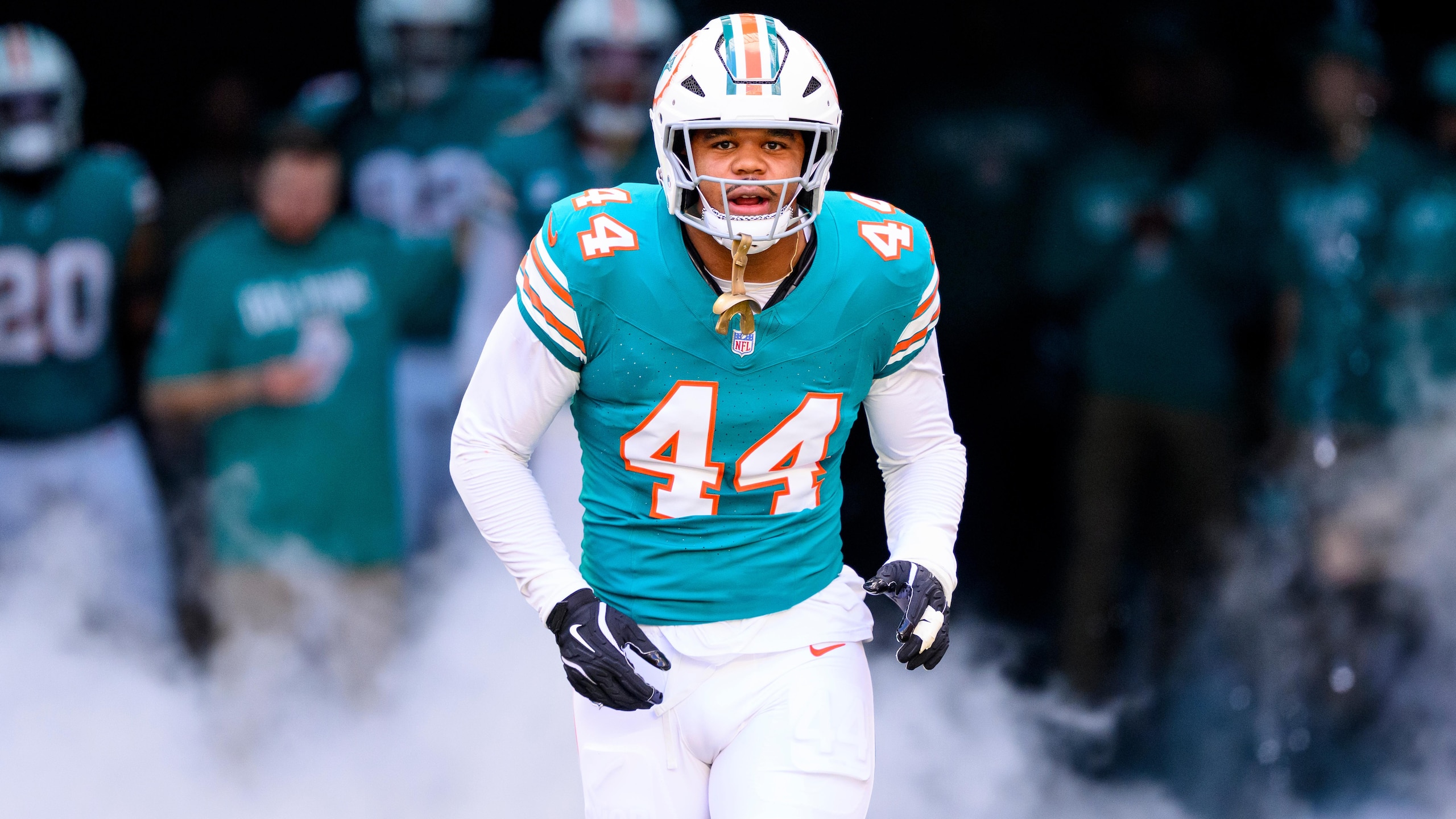 Bengals Dolphins Football
