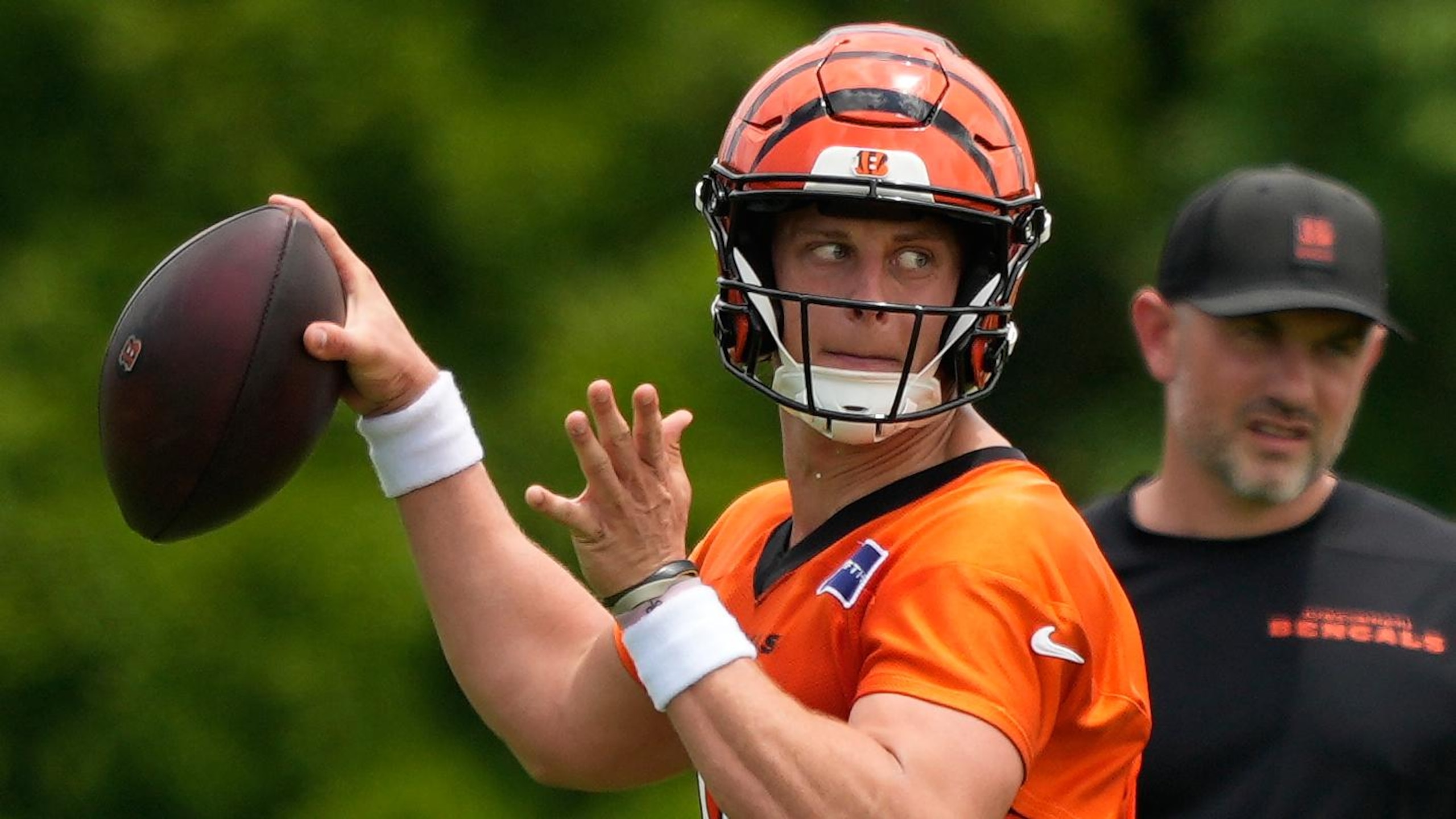 Bengals Football