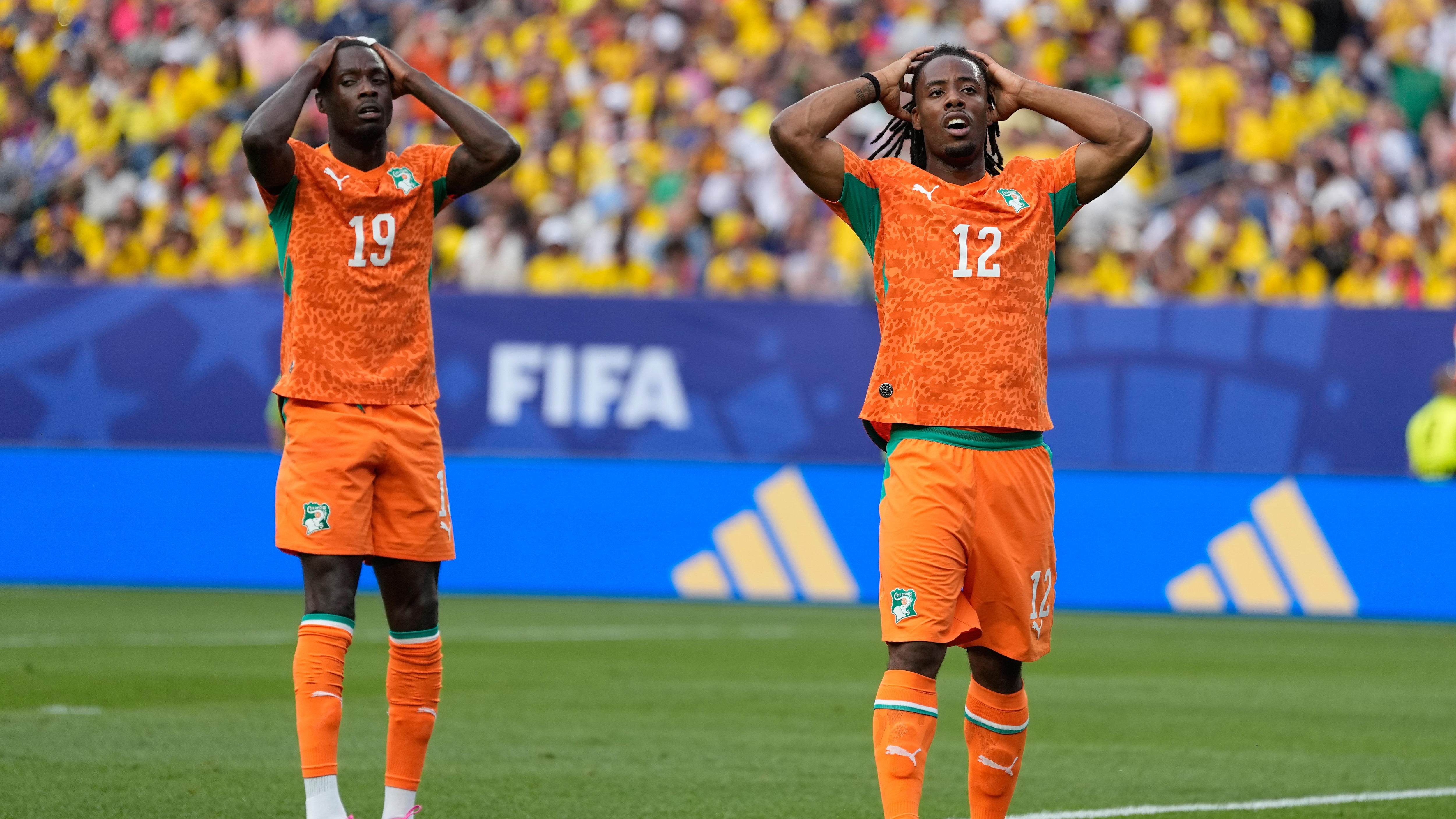 Ecuador Ivory Coast WCup Soccer