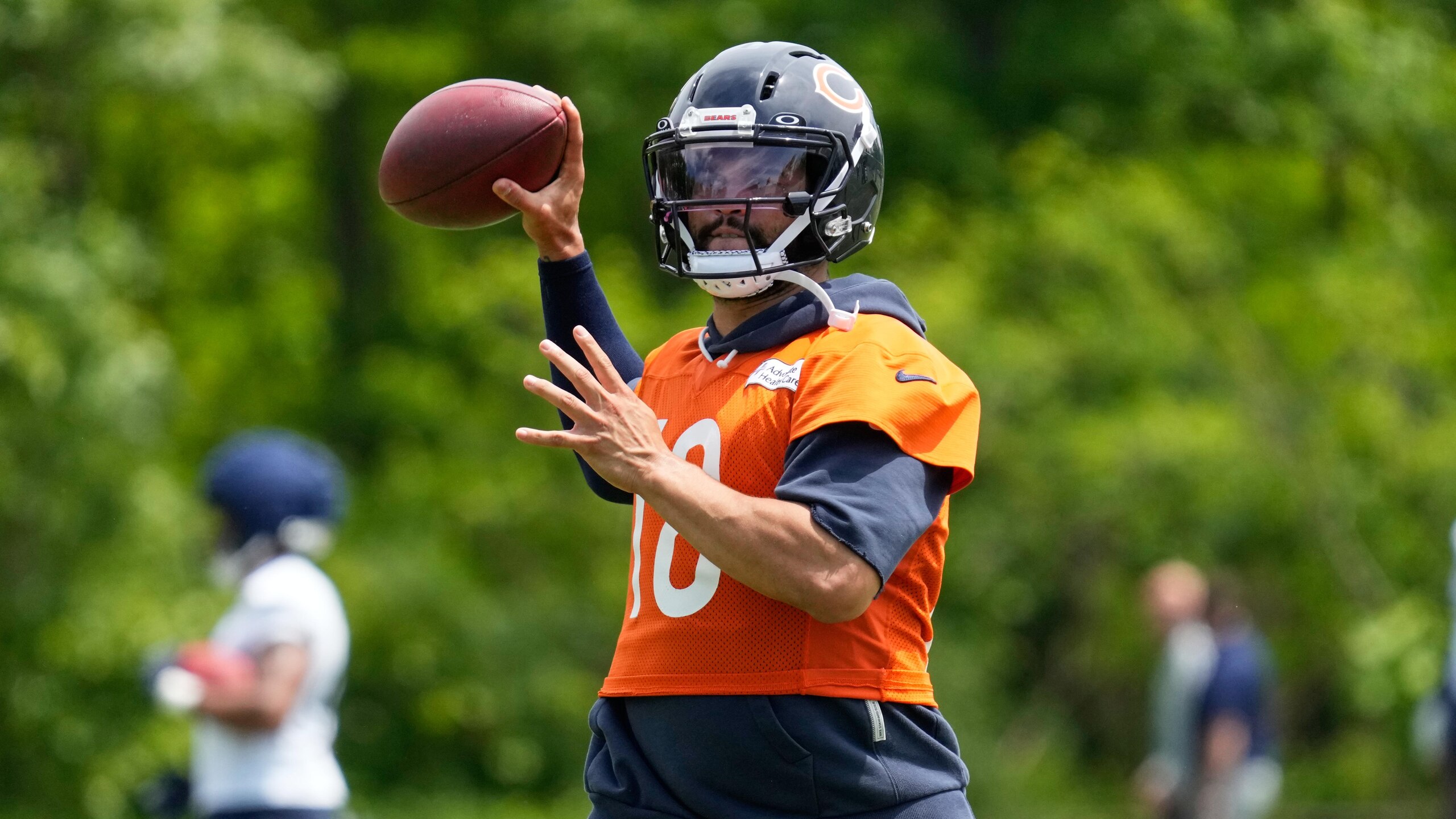Bears Football